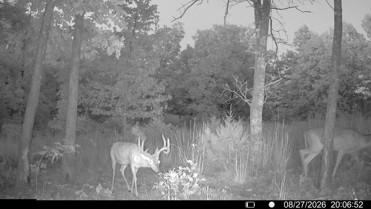 0 County Rd WW-A Summersville, MO 65571 - Photo 10 of 16 IMG_3332