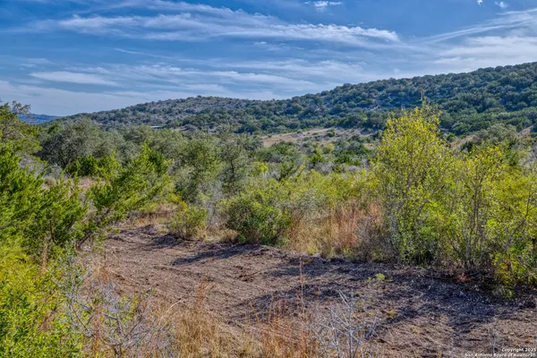 a view of a field with a forest