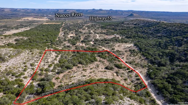 a view of a forest with a street