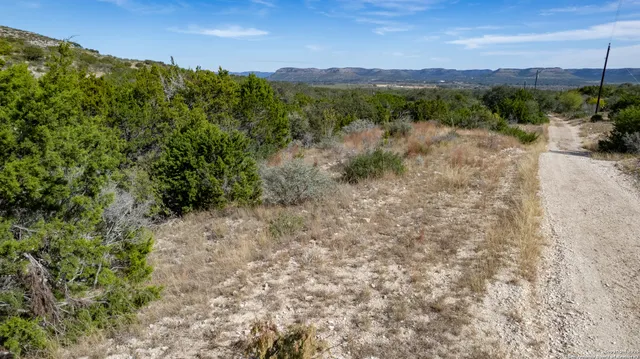 a view of a valley with a mountain in the background