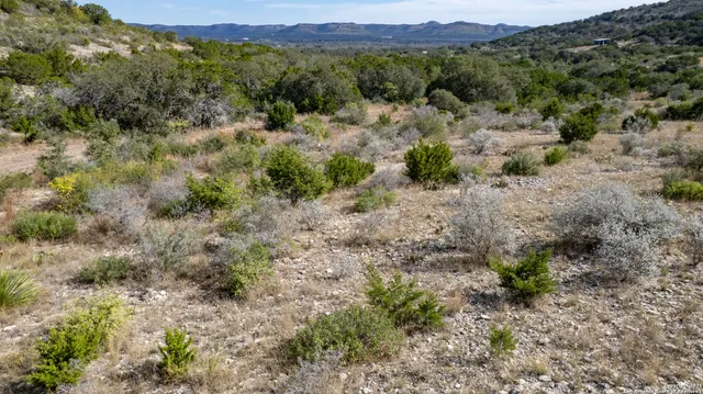 a view of a lush green forest with lots of trees