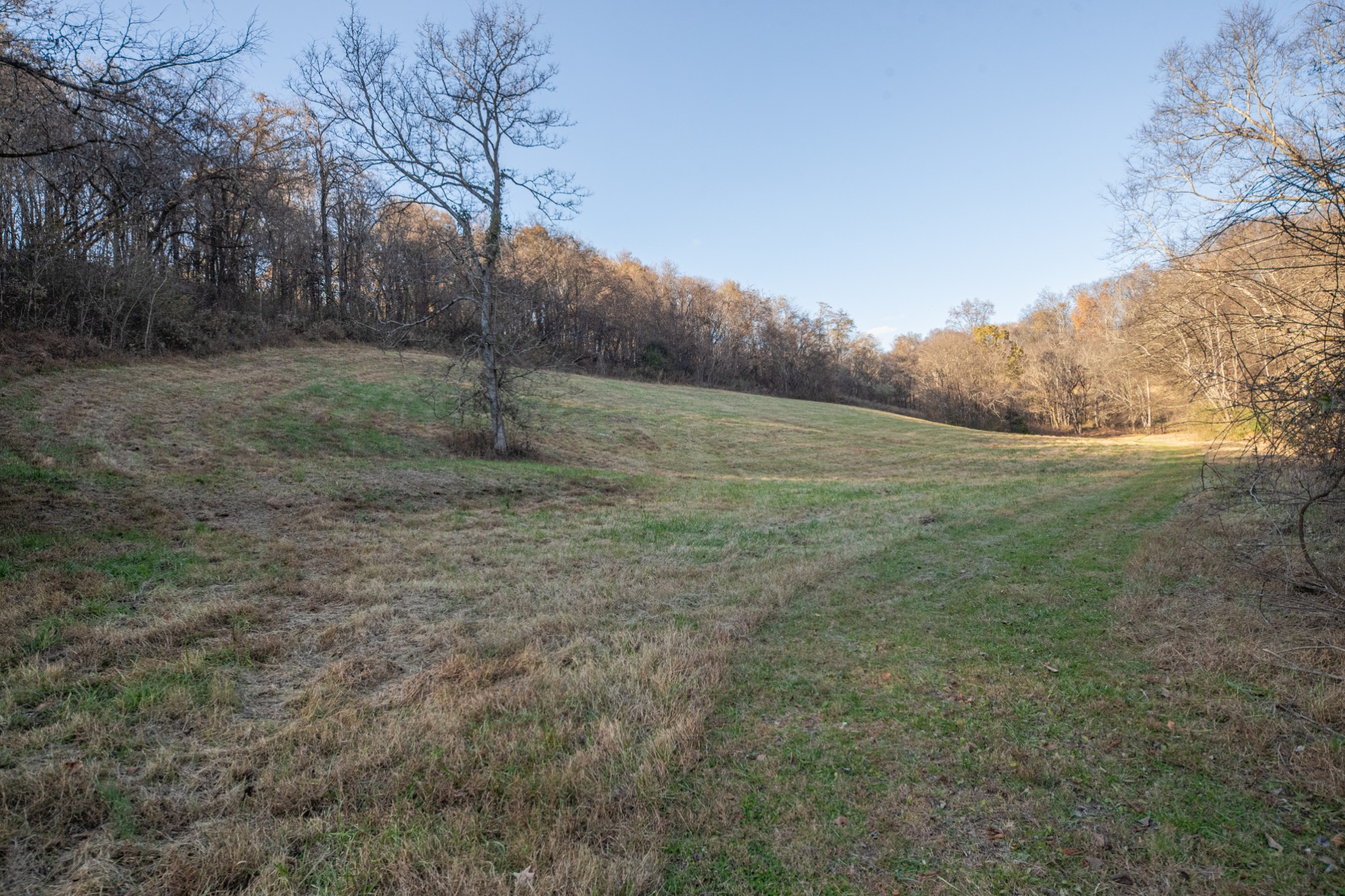 2031 Creecy Hollow Road Pulaski, TN 38478 - Photo 52 of 99