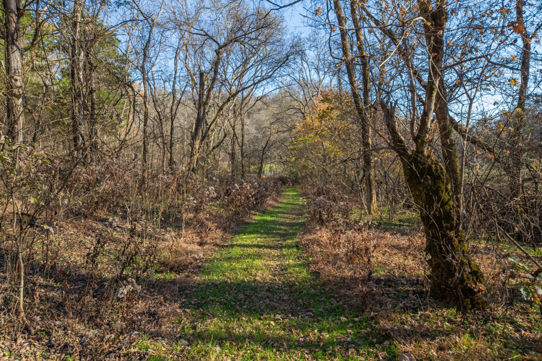 2031 Creecy Hollow Road Pulaski, TN 38478 - Photo 53 of 99