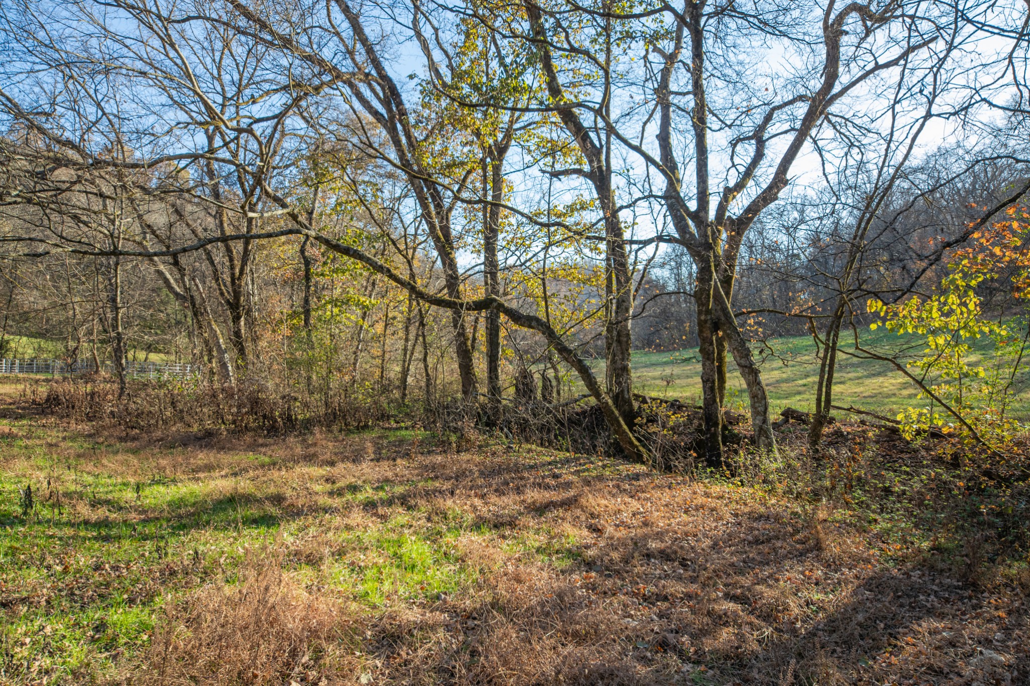 2031 Creecy Hollow Road Pulaski, TN 38478 - Photo 55 of 99