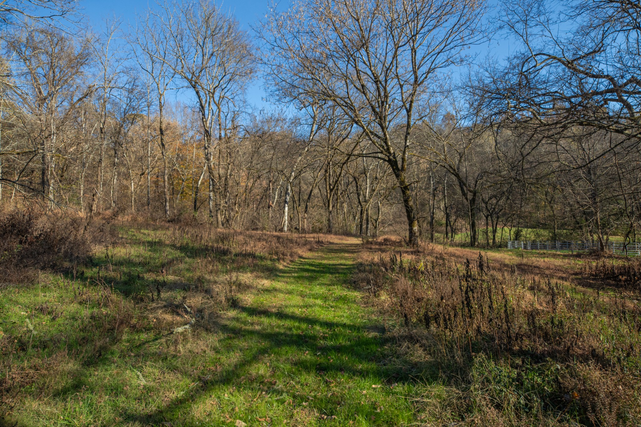 2031 Creecy Hollow Road Pulaski, TN 38478 - Photo 56 of 99