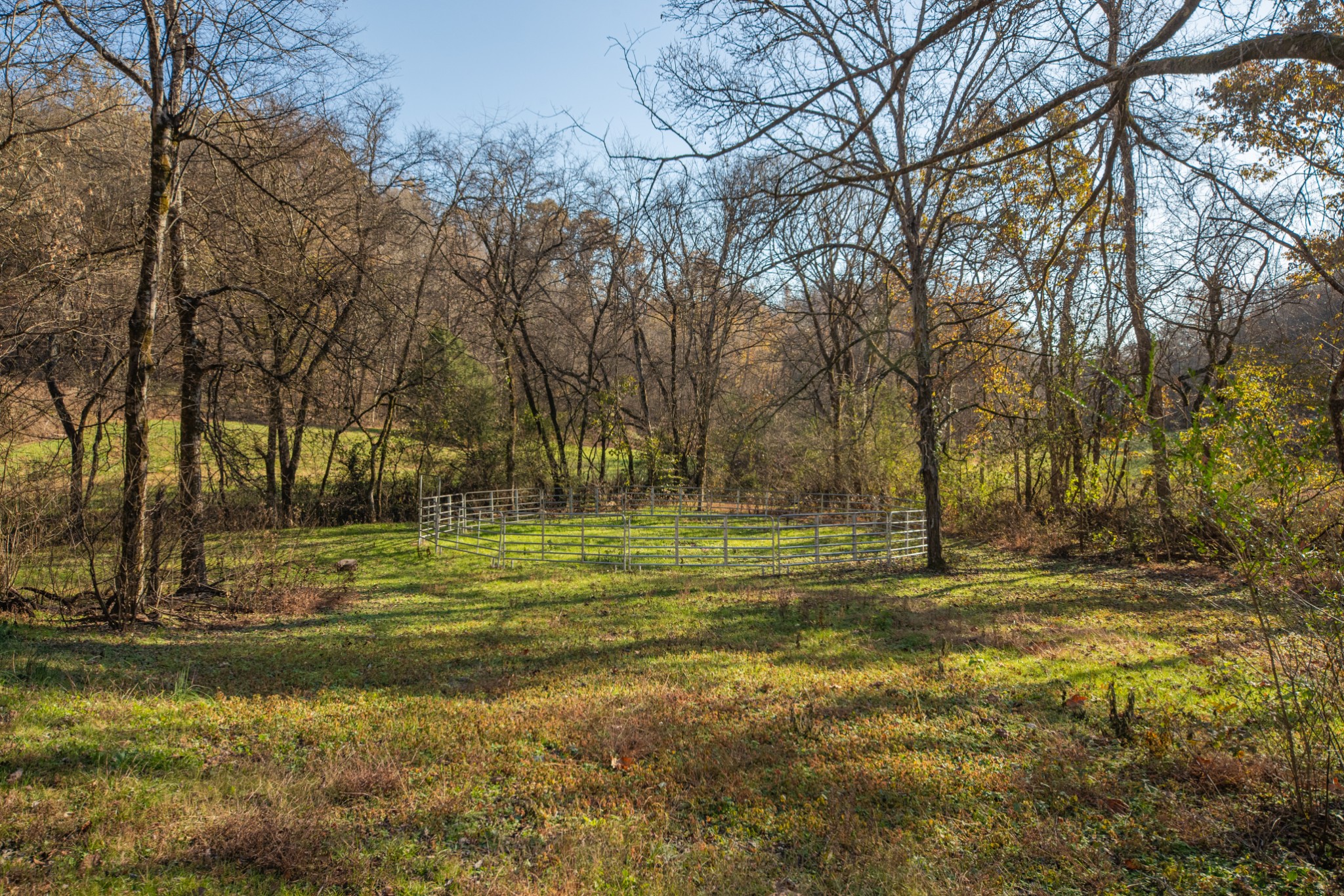 2031 Creecy Hollow Road Pulaski, TN 38478 - Photo 57 of 99