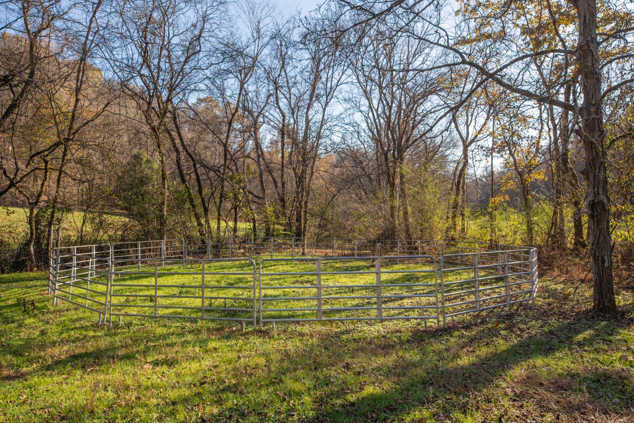 2031 Creecy Hollow Road Pulaski, TN 38478 - Photo 58 of 99