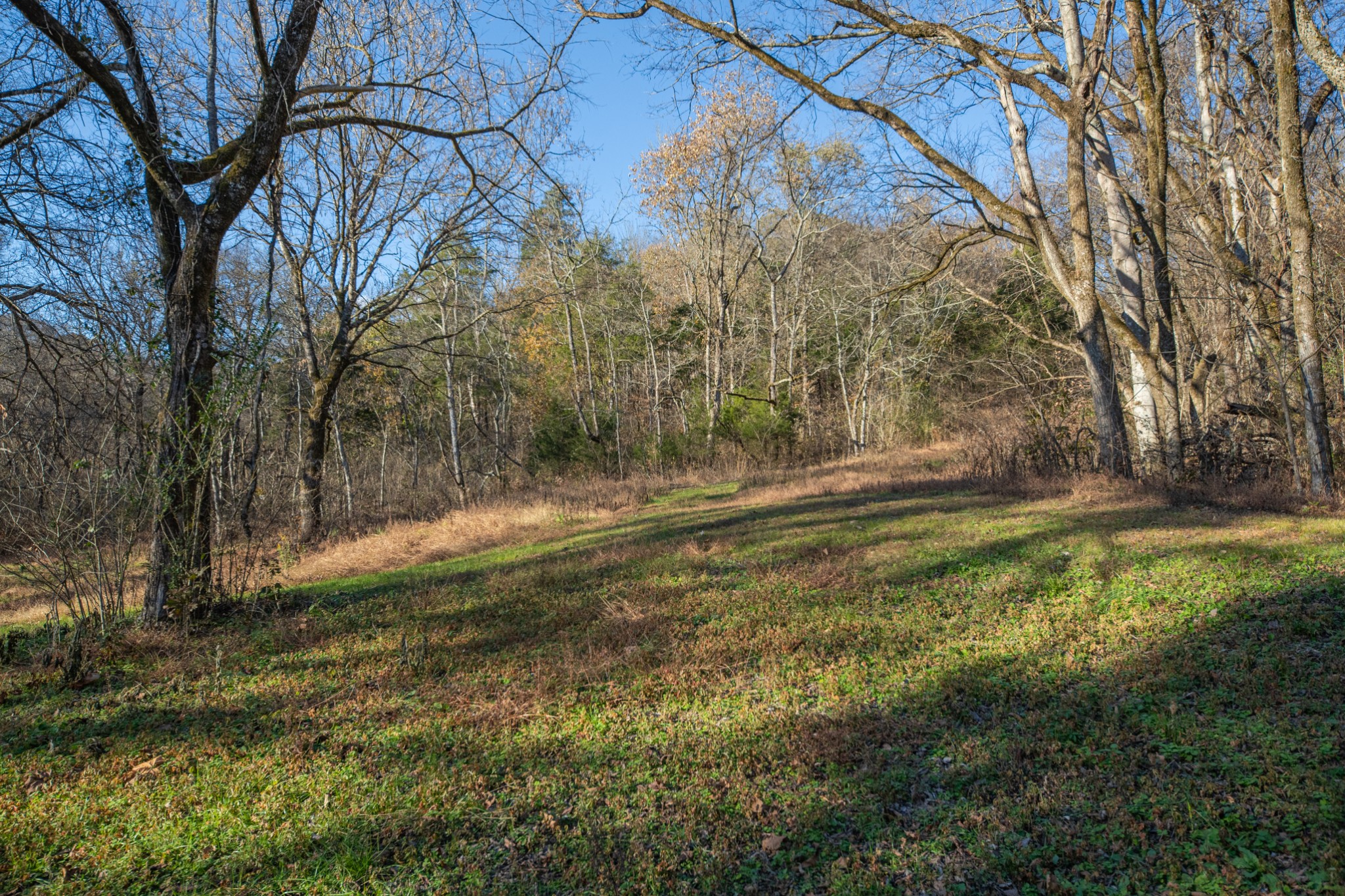 2031 Creecy Hollow Road Pulaski, TN 38478 - Photo 59 of 99
