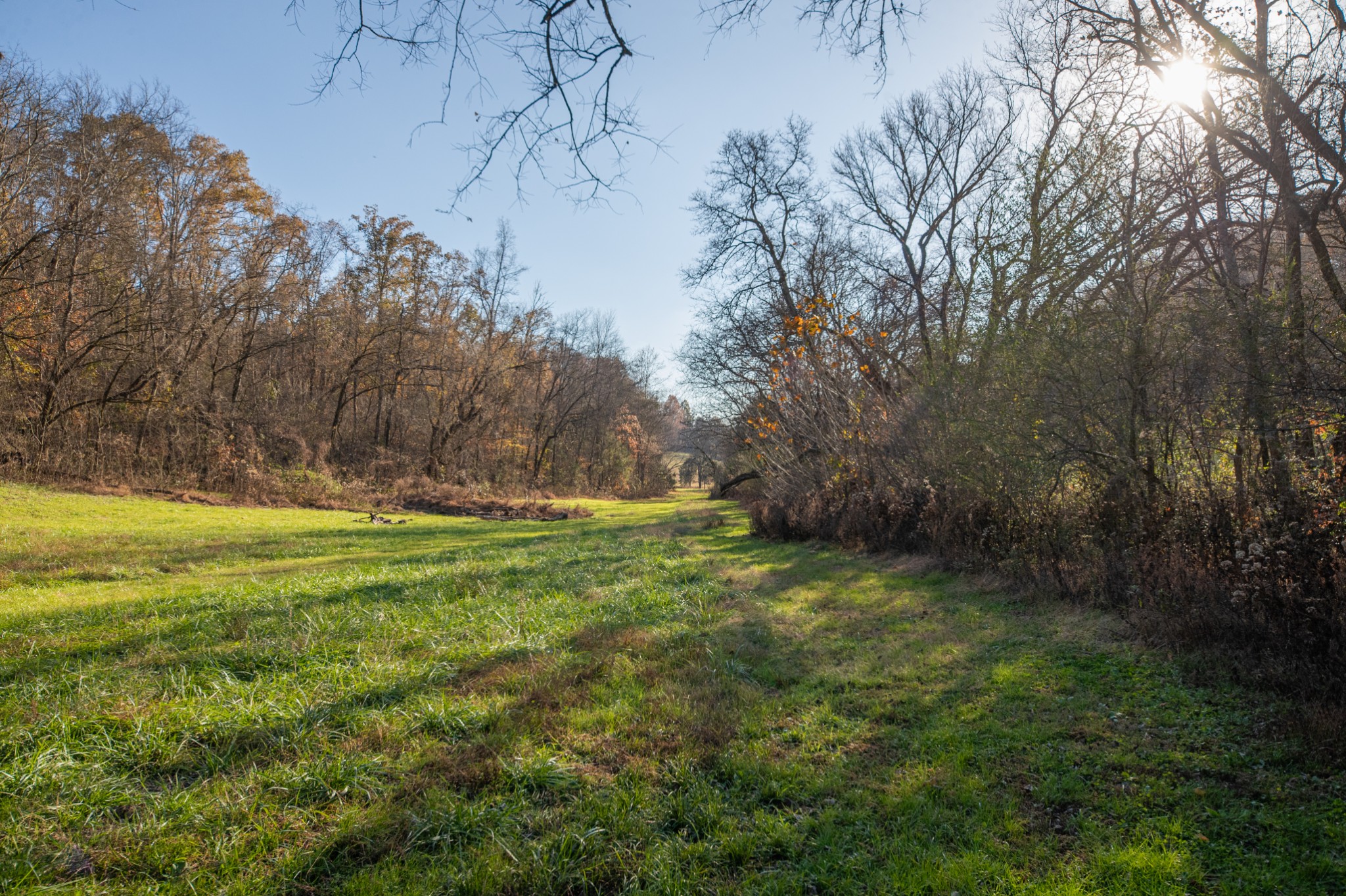 2031 Creecy Hollow Road Pulaski, TN 38478 - Photo 60 of 99