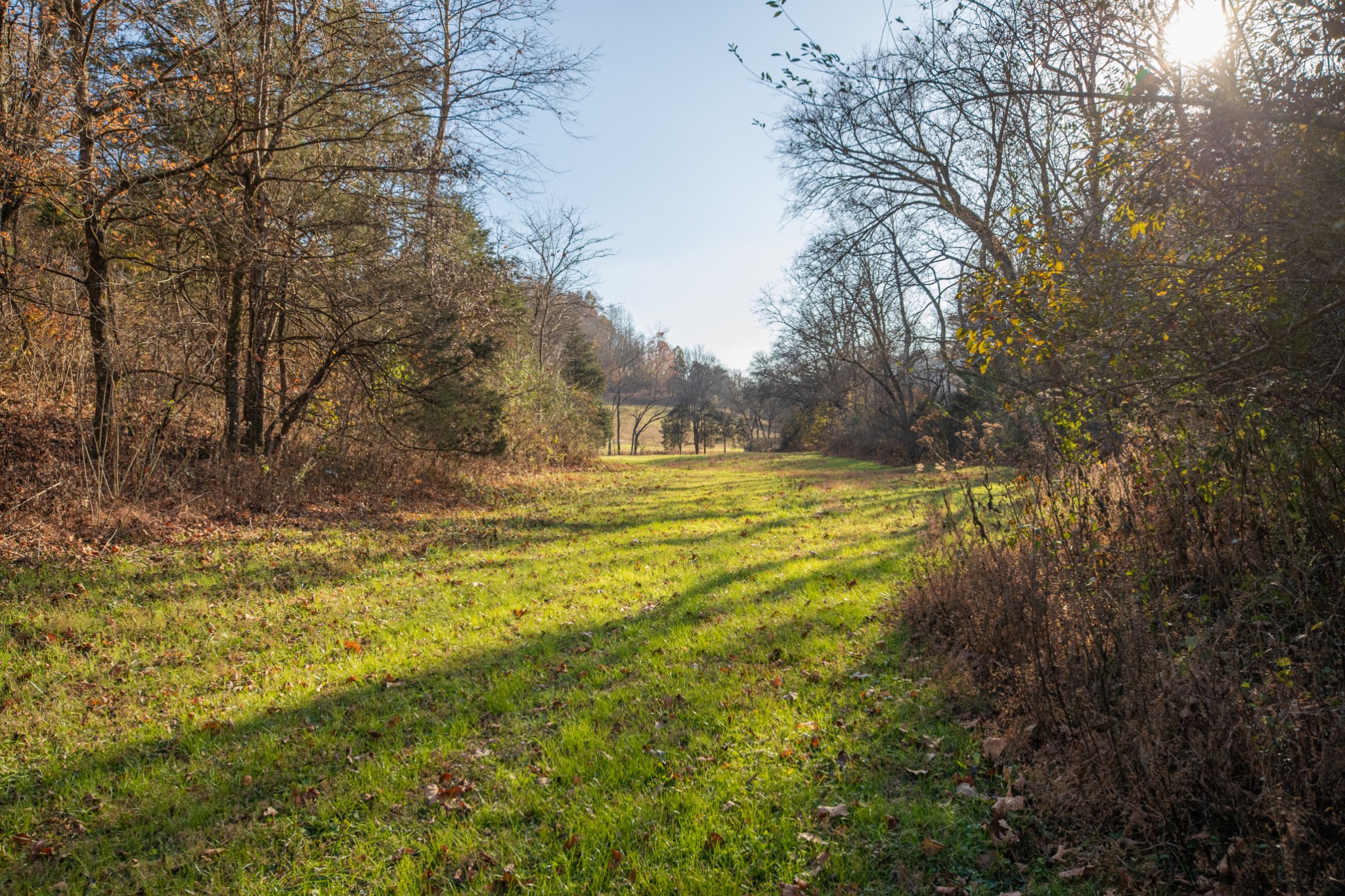 2031 Creecy Hollow Road Pulaski, TN 38478 - Photo 62 of 99