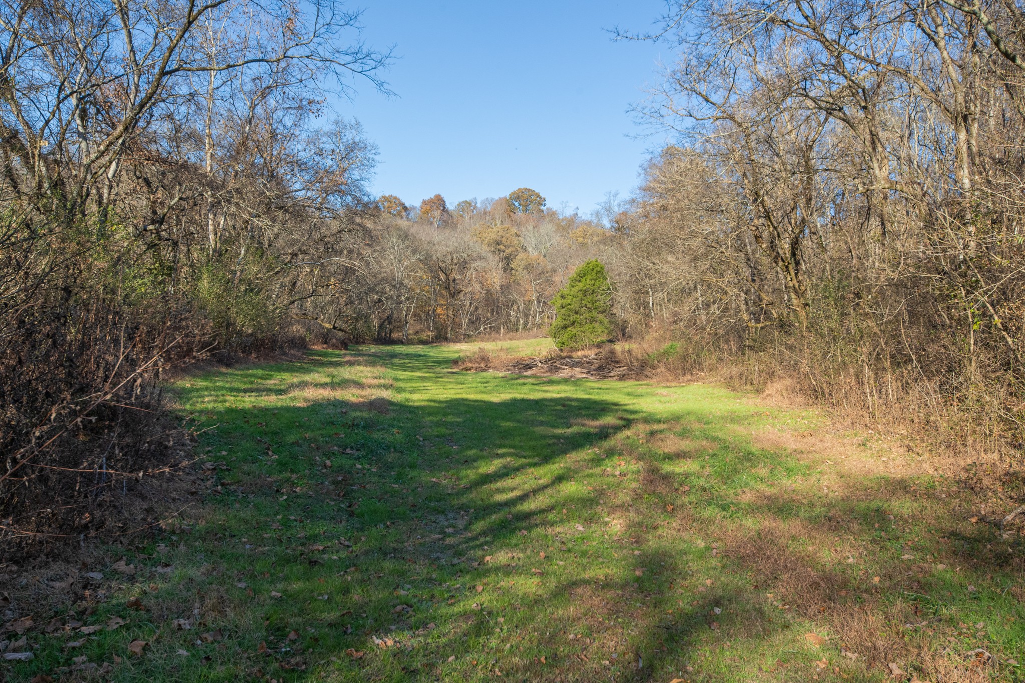 2031 Creecy Hollow Road Pulaski, TN 38478 - Photo 63 of 99