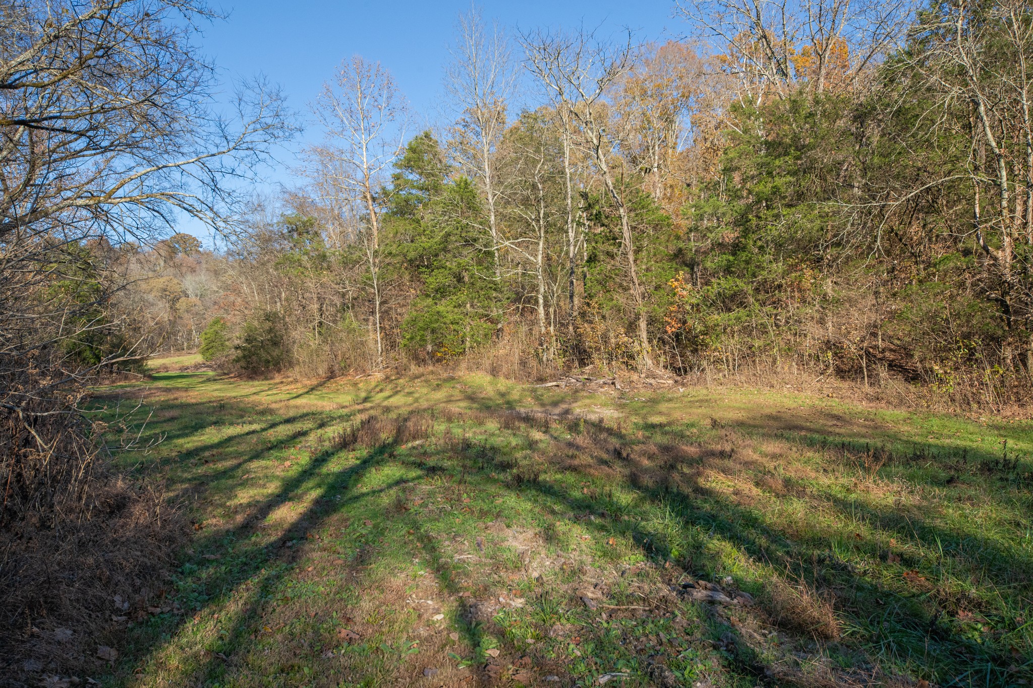 2031 Creecy Hollow Road Pulaski, TN 38478 - Photo 64 of 99