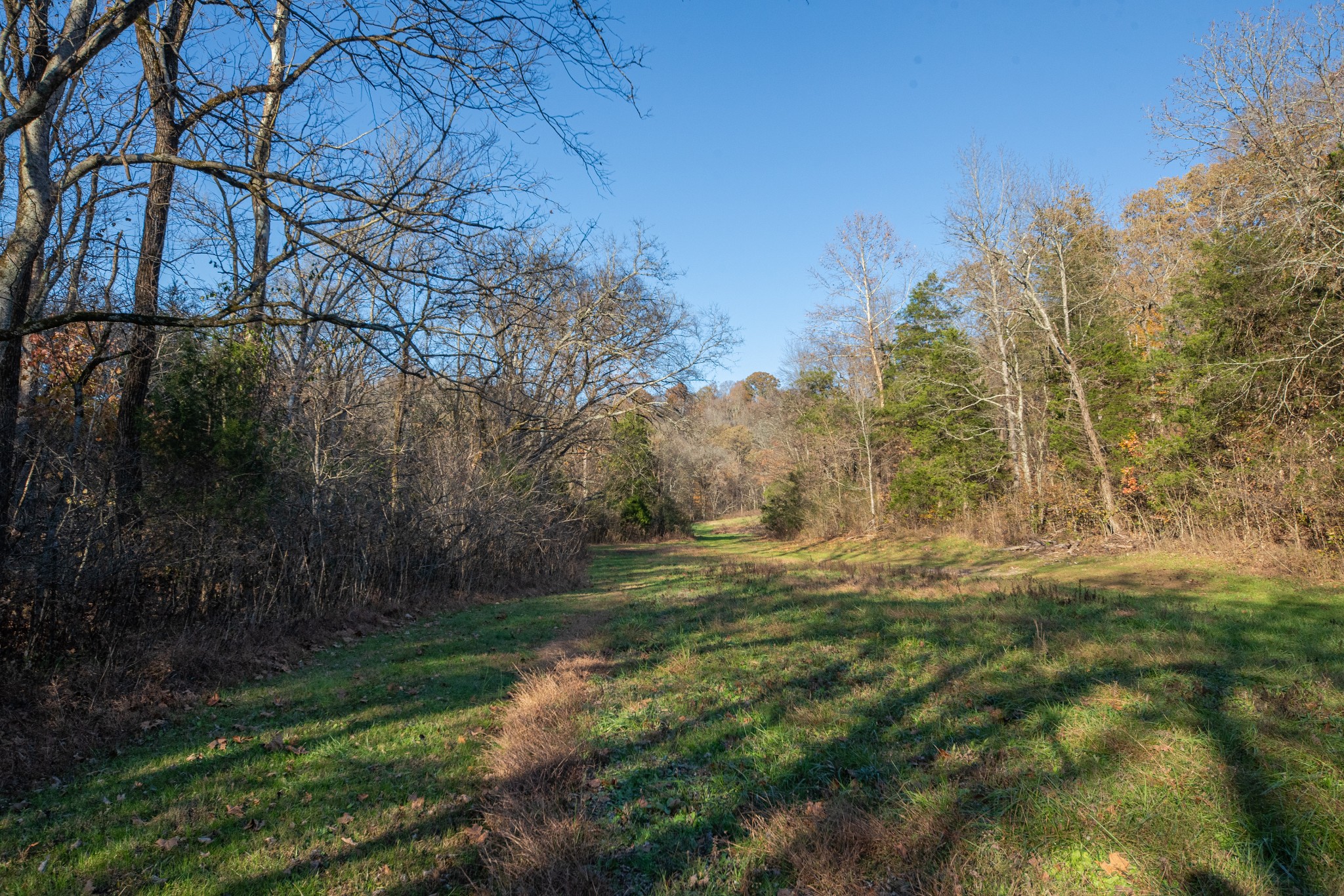 2031 Creecy Hollow Road Pulaski, TN 38478 - Photo 65 of 99