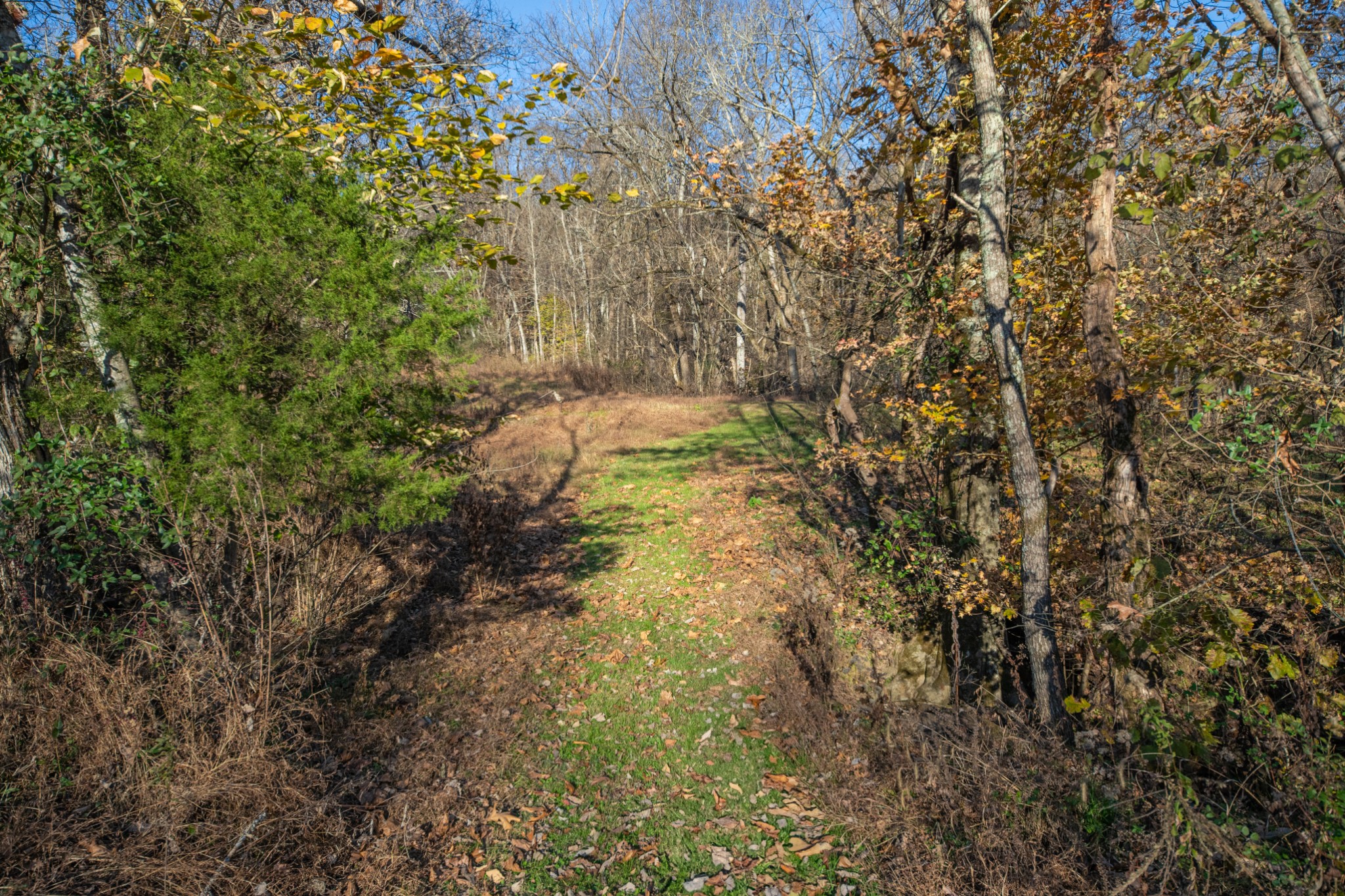 2031 Creecy Hollow Road Pulaski, TN 38478 - Photo 66 of 99