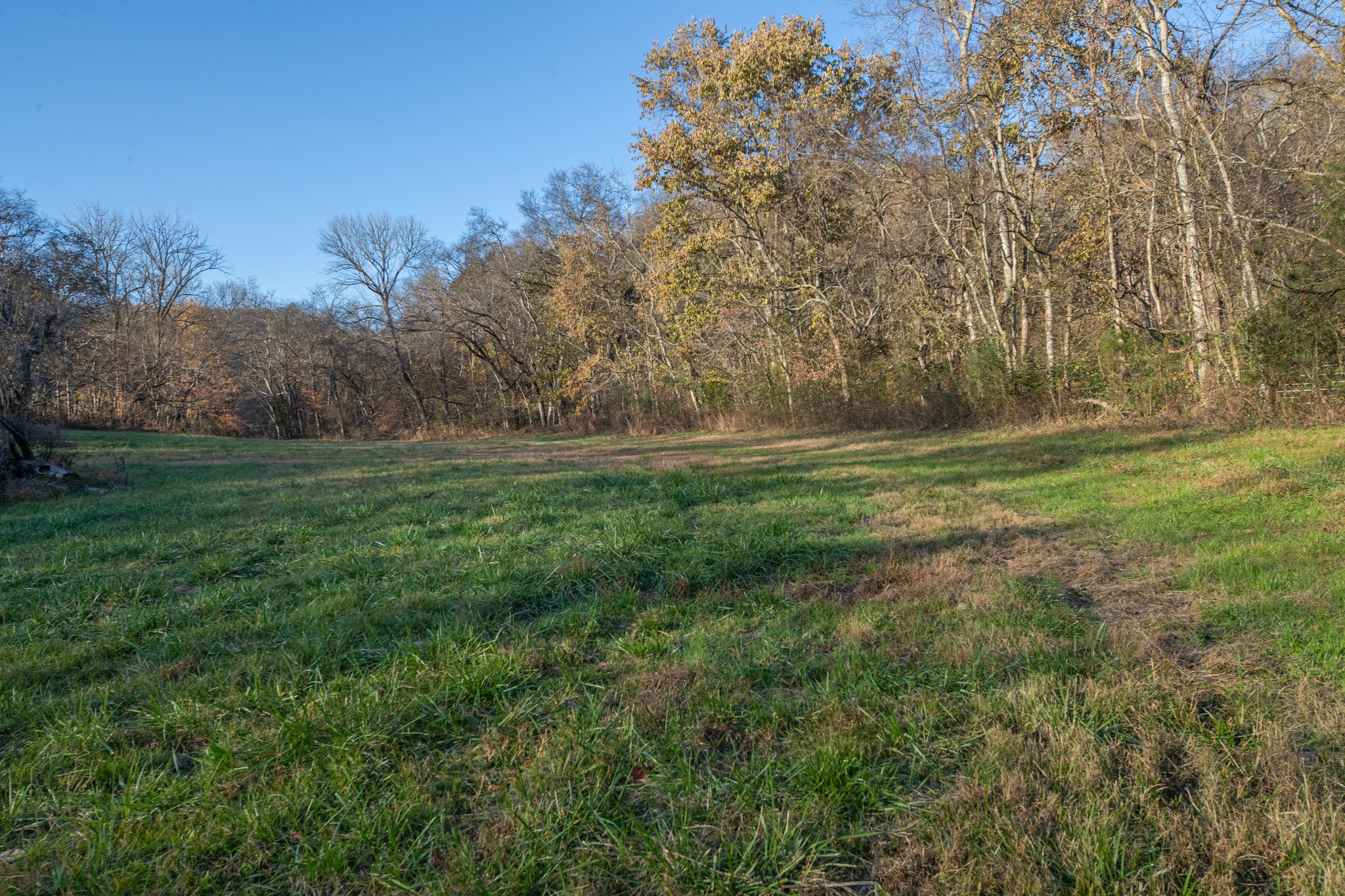 2031 Creecy Hollow Road Pulaski, TN 38478 - Photo 67 of 99