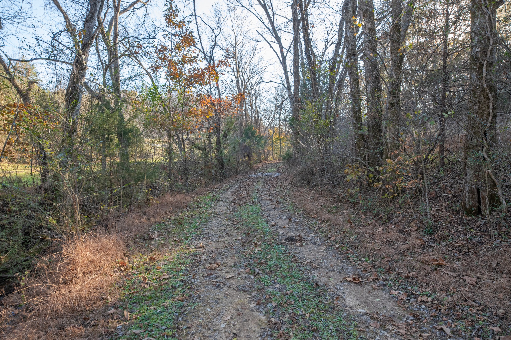 2031 Creecy Hollow Road Pulaski, TN 38478 - Photo 68 of 99