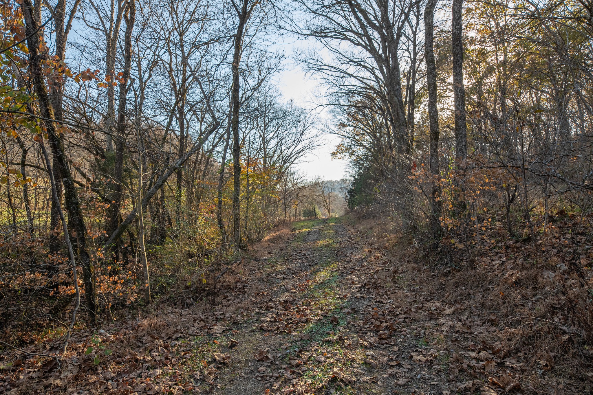 2031 Creecy Hollow Road Pulaski, TN 38478 - Photo 69 of 99