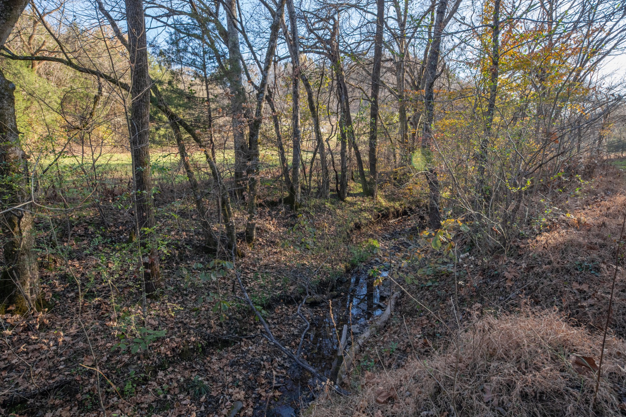 2031 Creecy Hollow Road Pulaski, TN 38478 - Photo 70 of 99