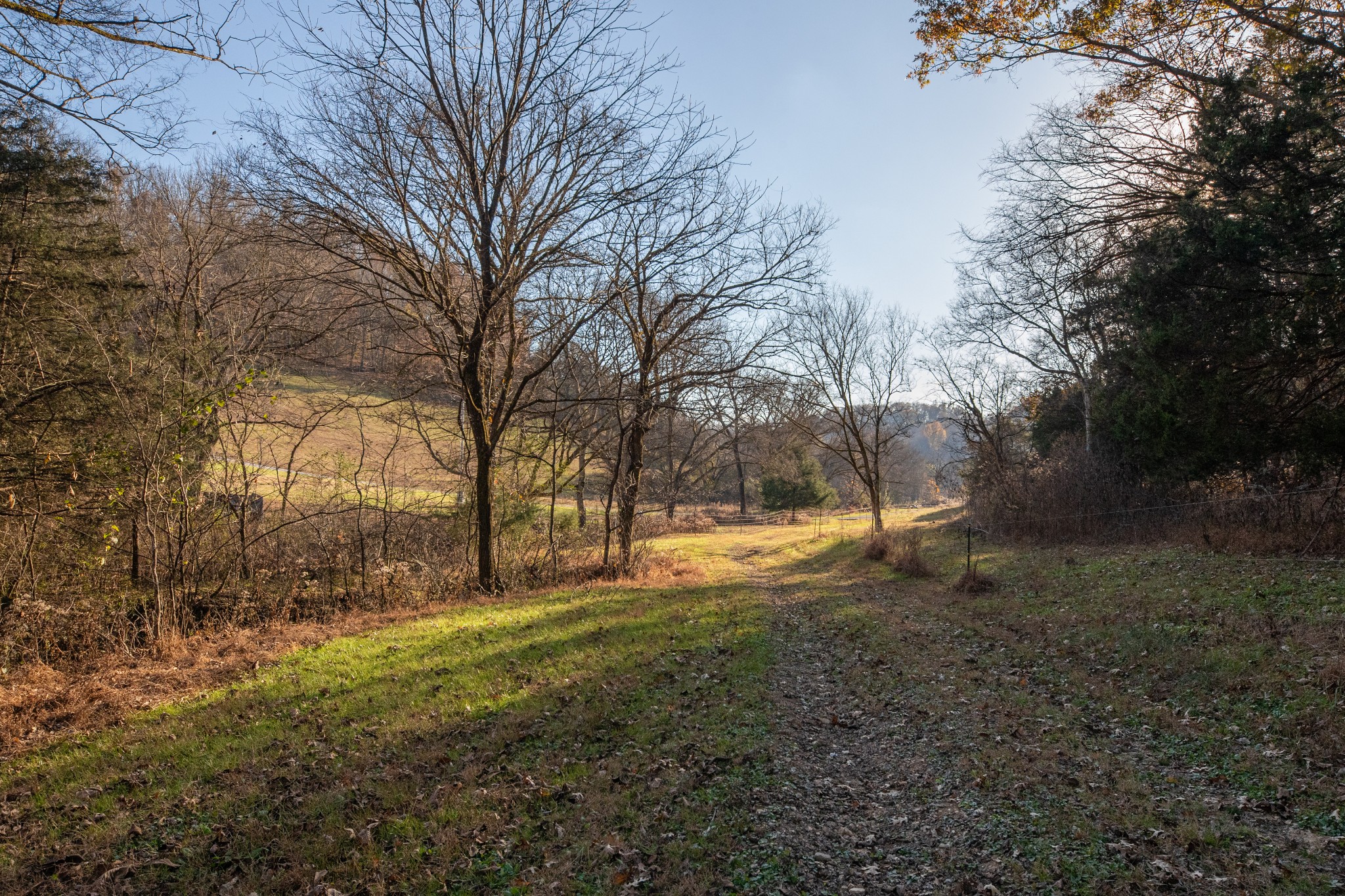 2031 Creecy Hollow Road Pulaski, TN 38478 - Photo 71 of 99
