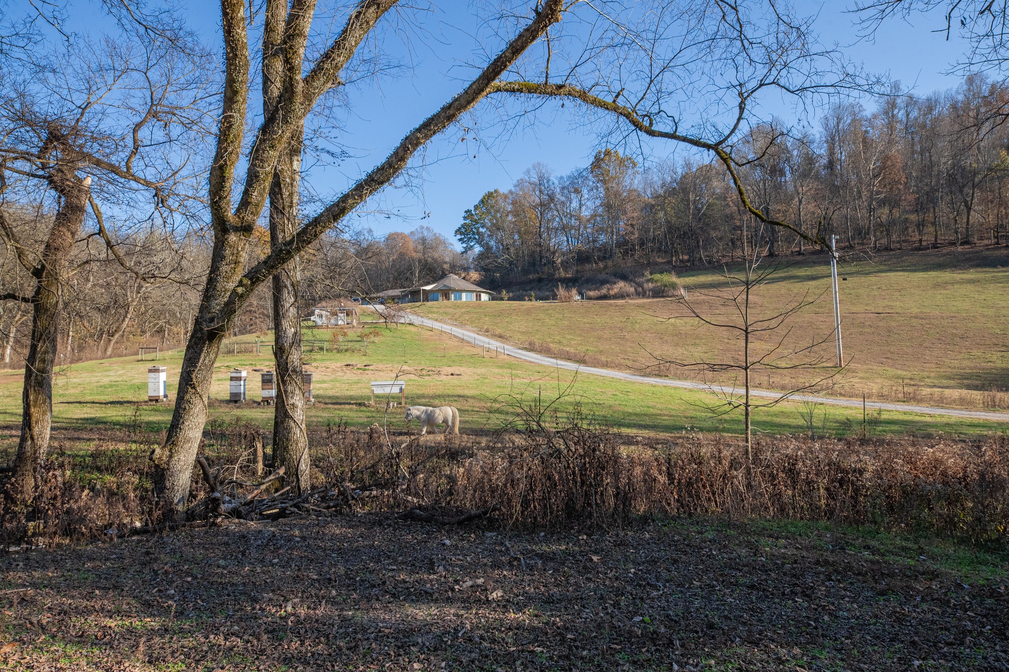 2031 Creecy Hollow Road Pulaski, TN 38478 - Photo 72 of 99