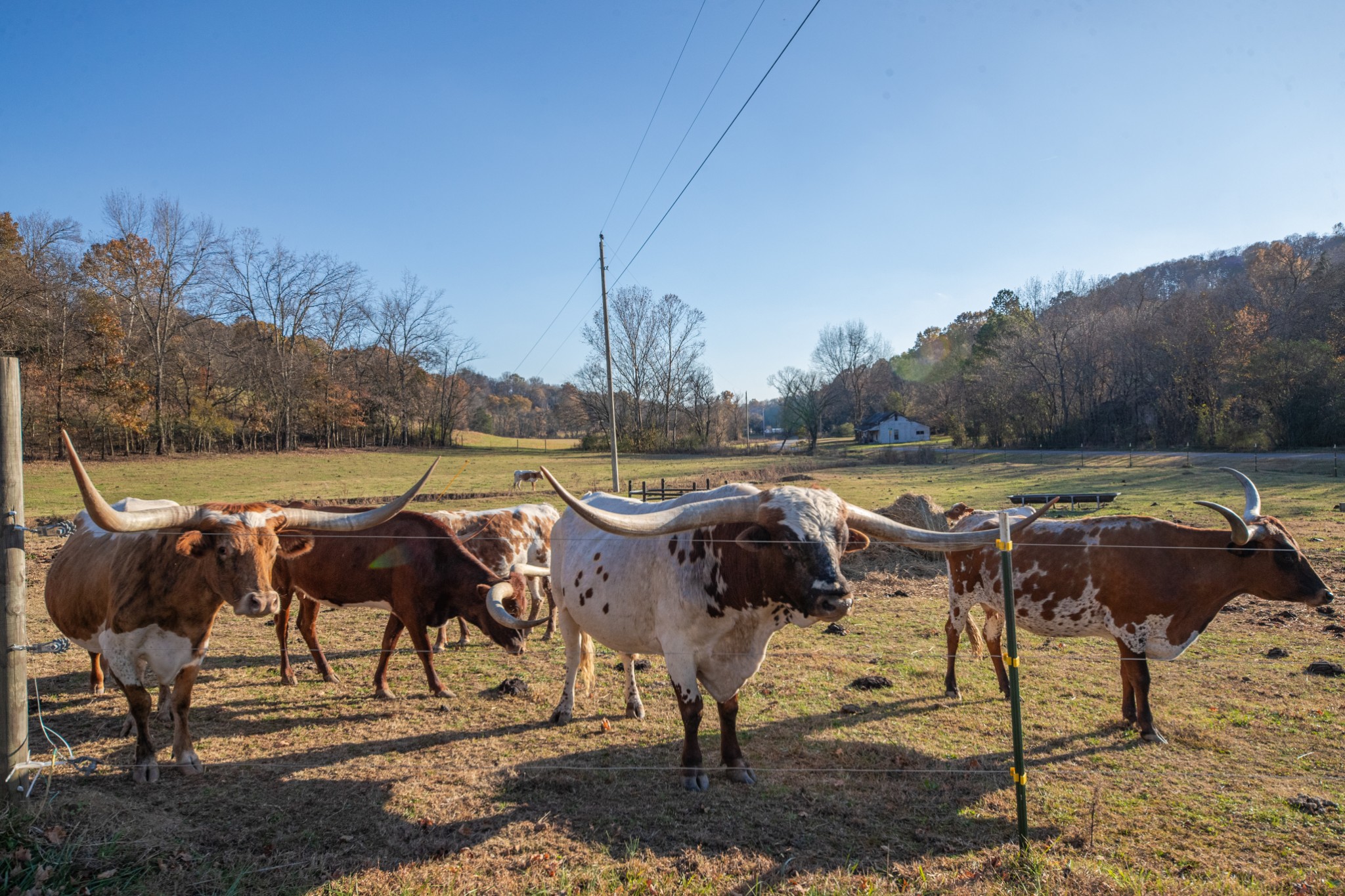 2031 Creecy Hollow Road Pulaski, TN 38478 - Photo 75 of 99