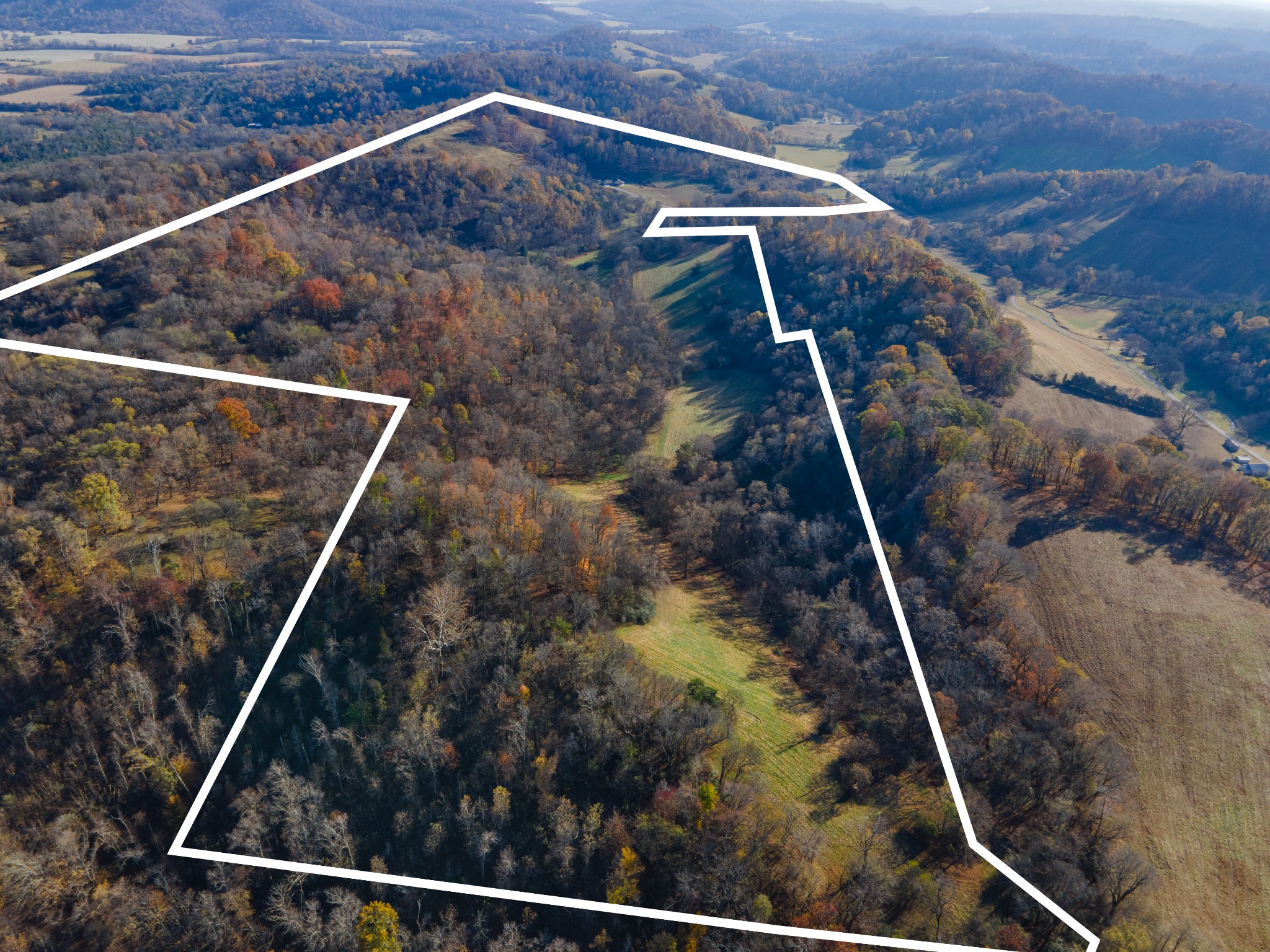 2031 Creecy Hollow Road Pulaski, TN 38478 - Photo 77 of 99