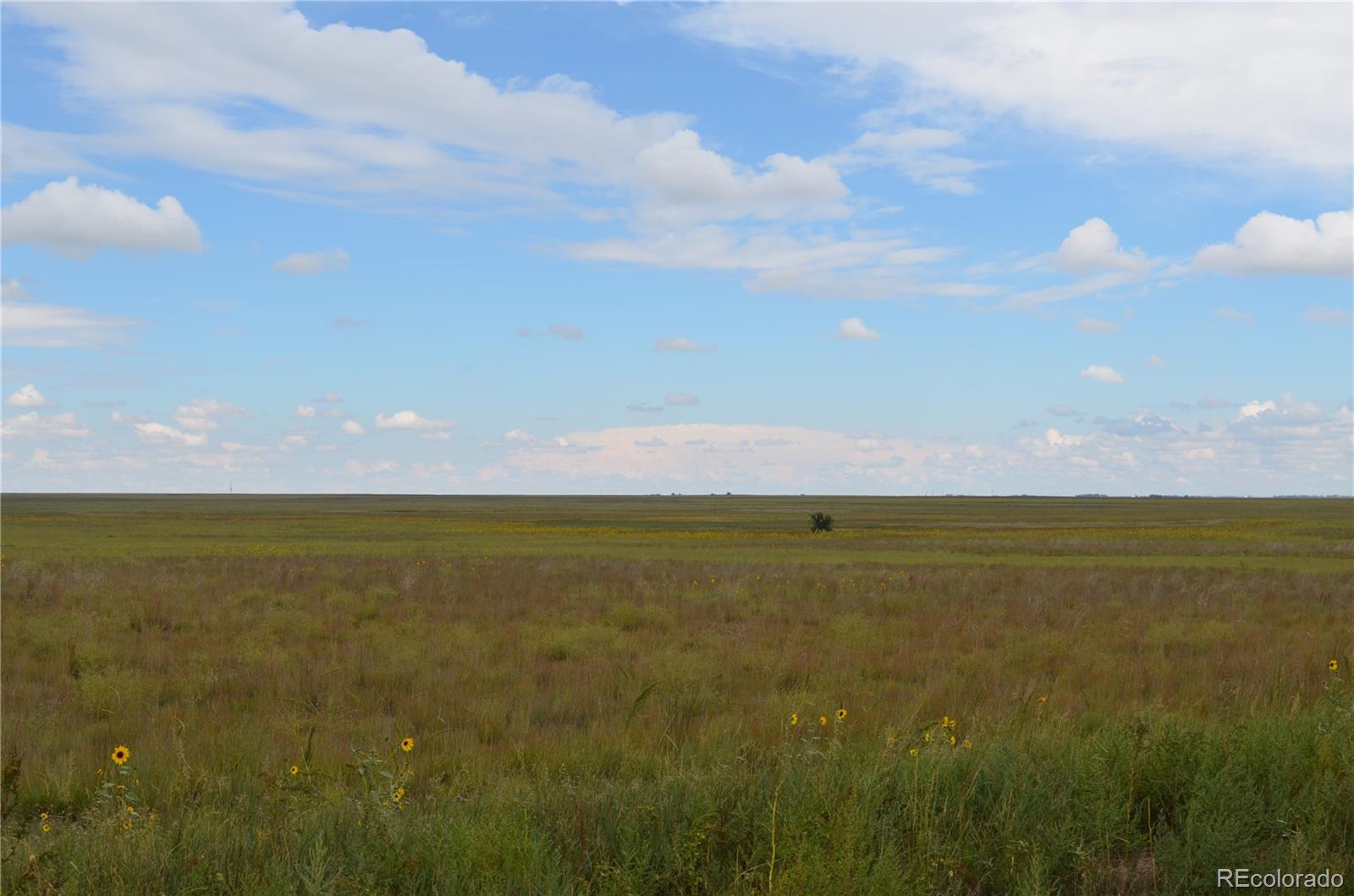 7 County Road Rush, CO 80833 - Photo 7 of 7 Gallery Image 7