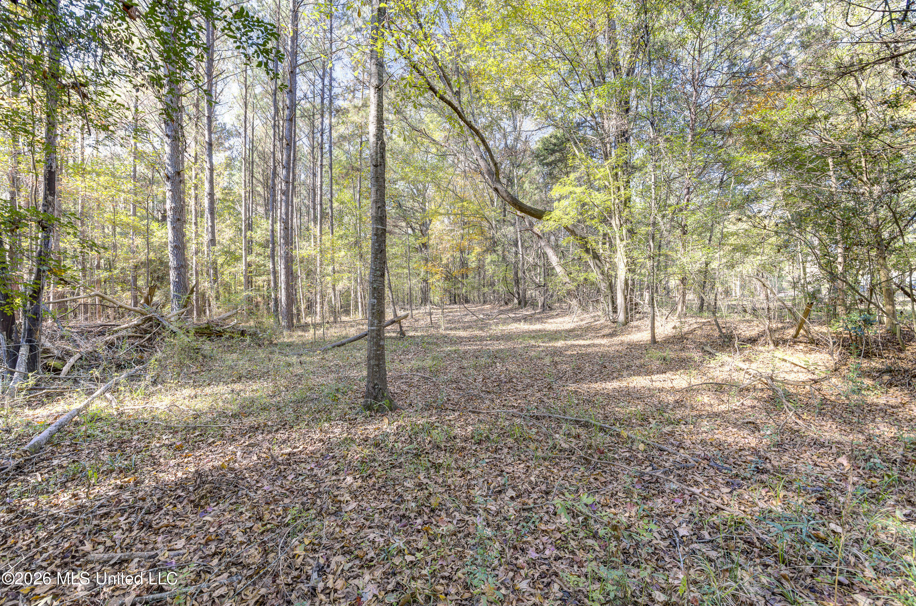 Brenmar Street Brandon, MS 39042 - Photo 1 of 2 Undeveloped Acreage