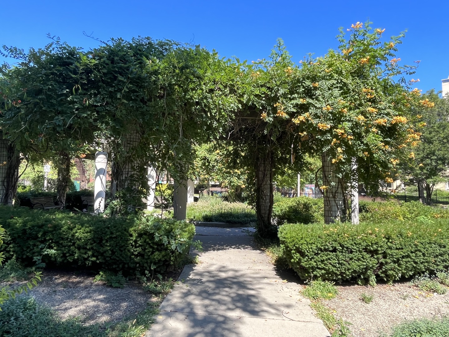 6007 North Sheridan Road, Unit 31F Chicago, IL 60660 - Photo 43 of 43 a view of backyard with green space