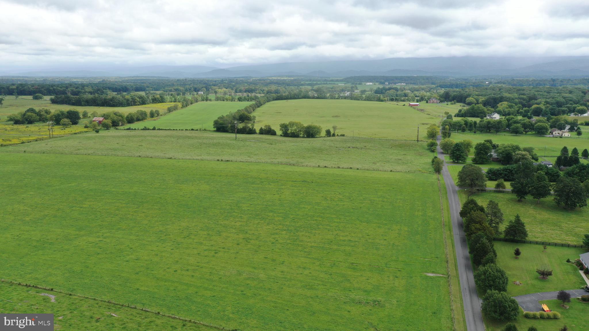 Winchester Road White Post, VA 22663 - Photo 4 of 12 Land view