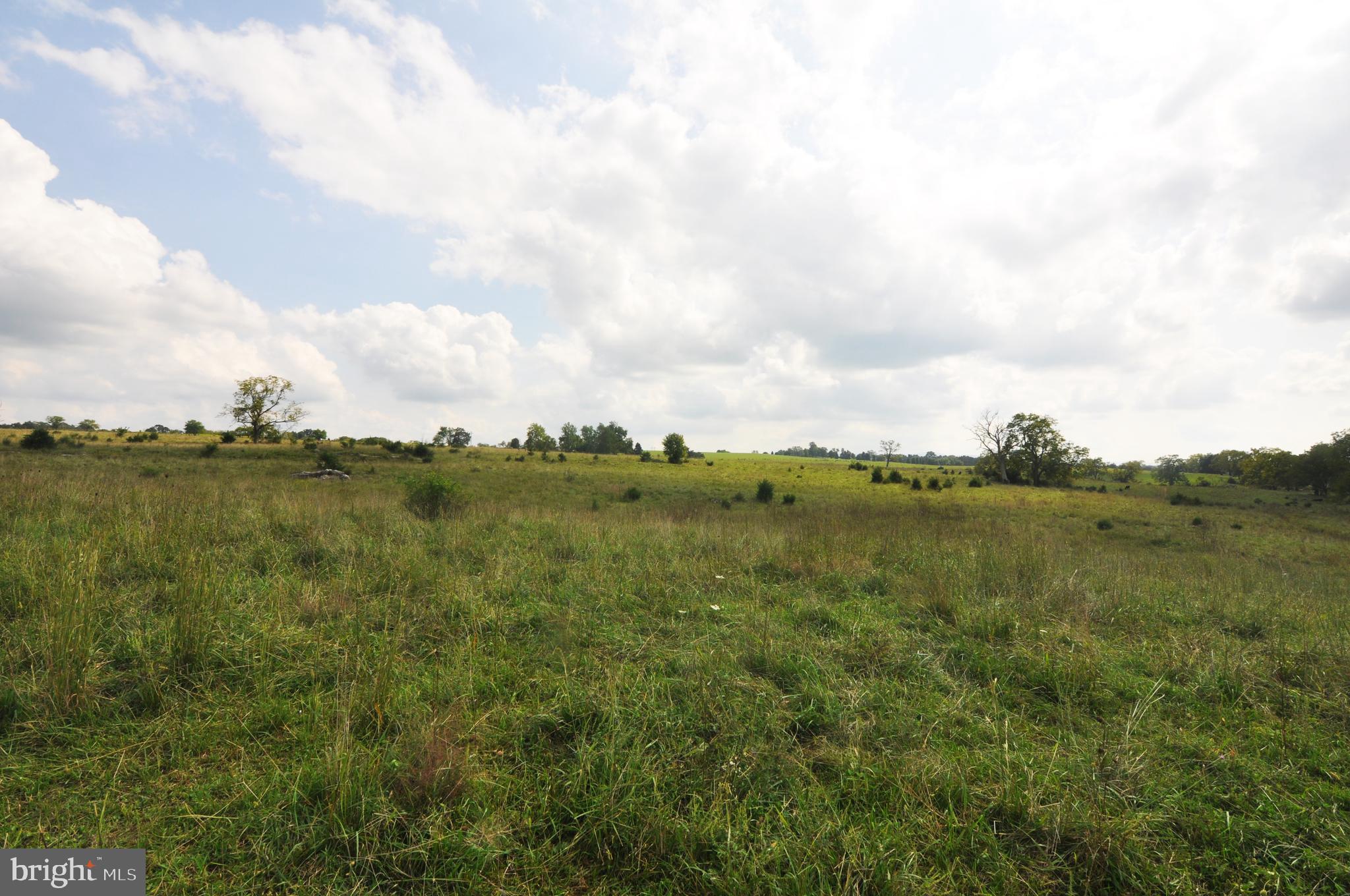 Winchester Road White Post, VA 22663 - Photo 6 of 12 Land view 5