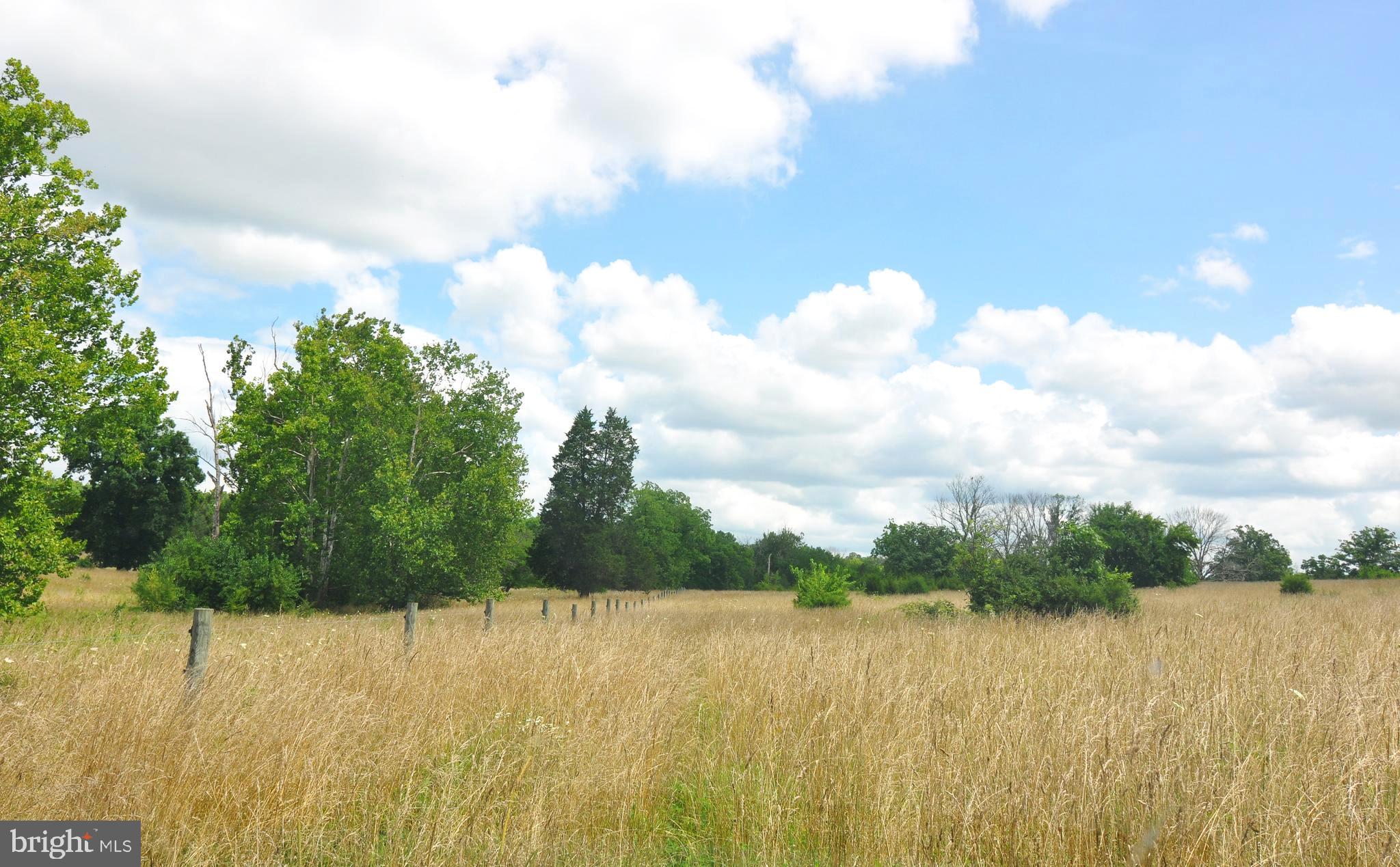 Winchester Road White Post, VA 22663 - Photo 10 of 12 Land view