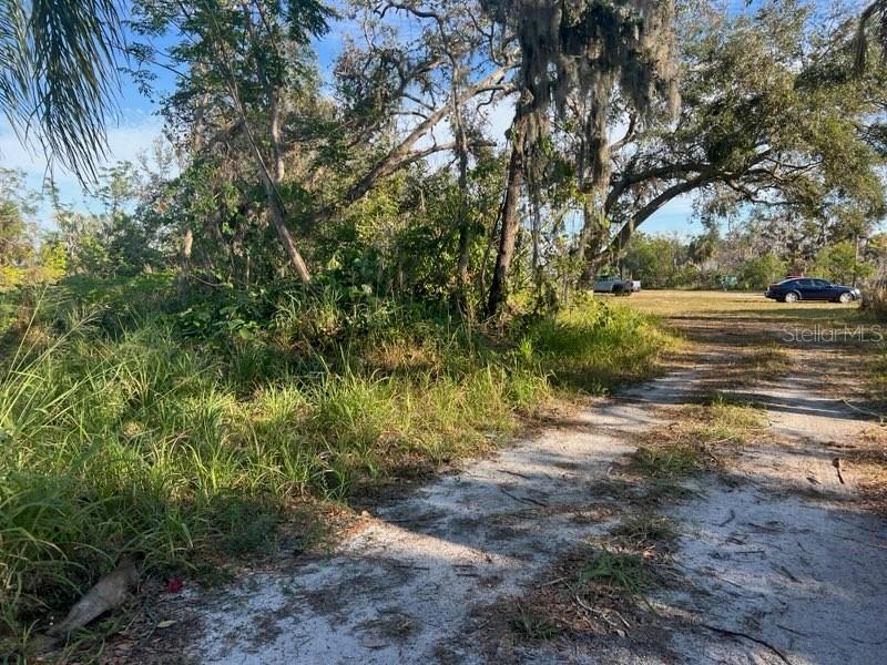 4122 North Lockwood Ridge Road Sarasota, FL 34235 - Photo 5 of 6 a view of a yard with plants and trees
