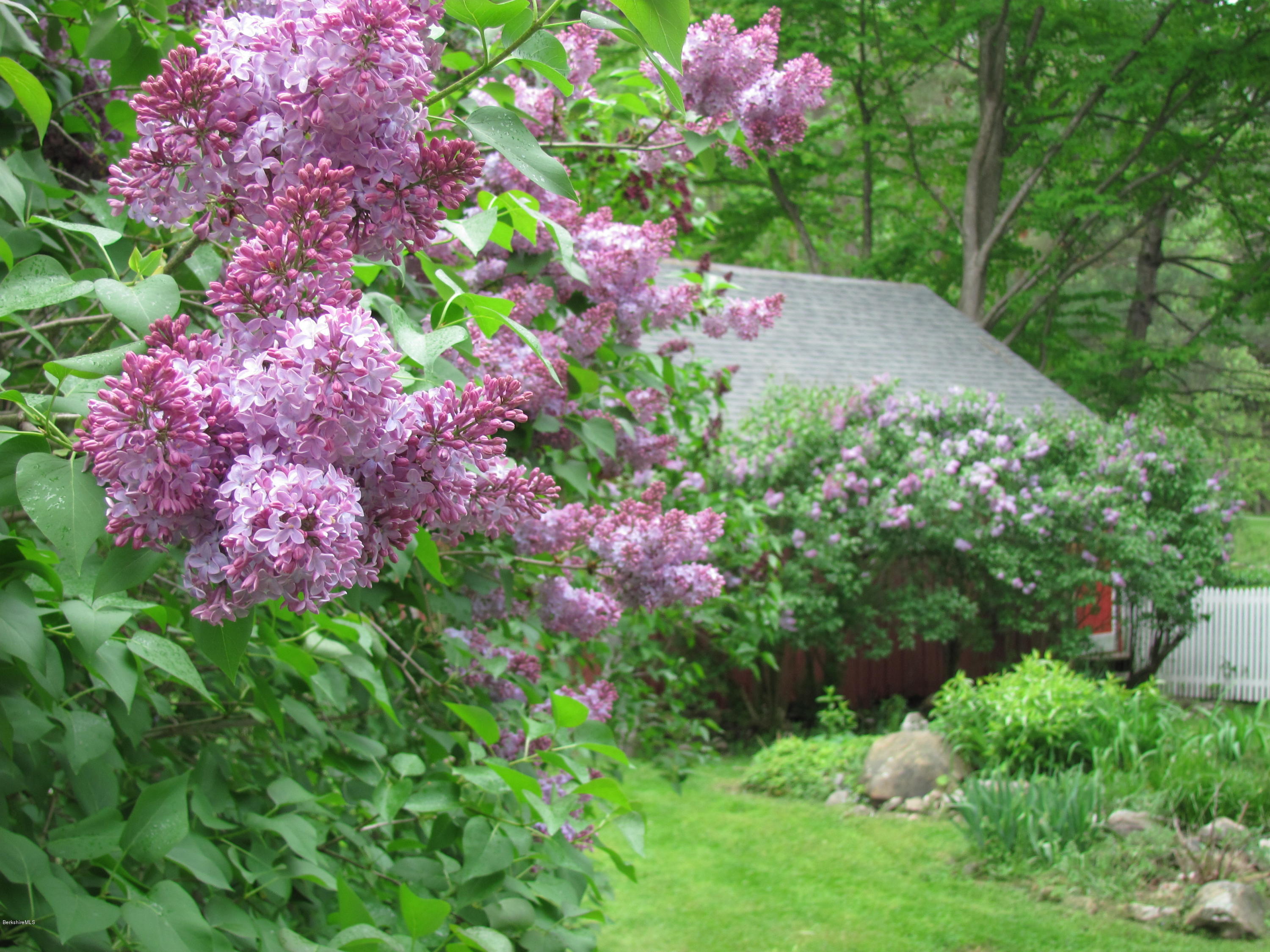 1213 Green River Road Williamstown, MA 01267 - Photo 41 of 46 IMG_2178