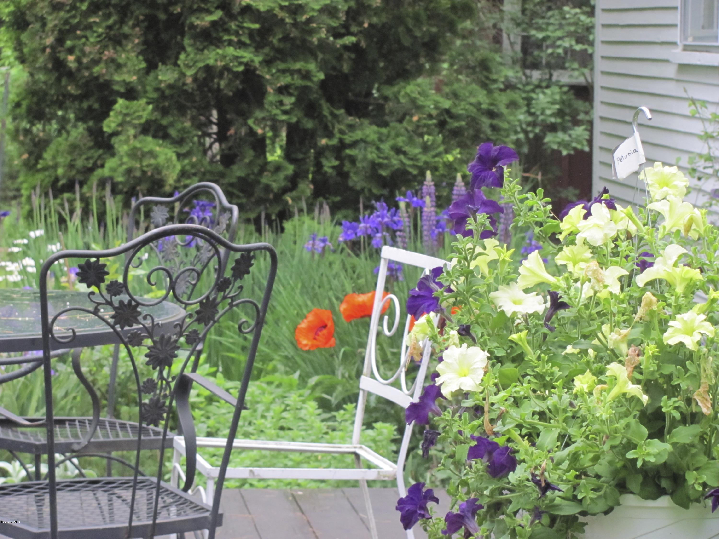 1213 Green River Road Williamstown, MA 01267 - Photo 44 of 46 IMG_2606