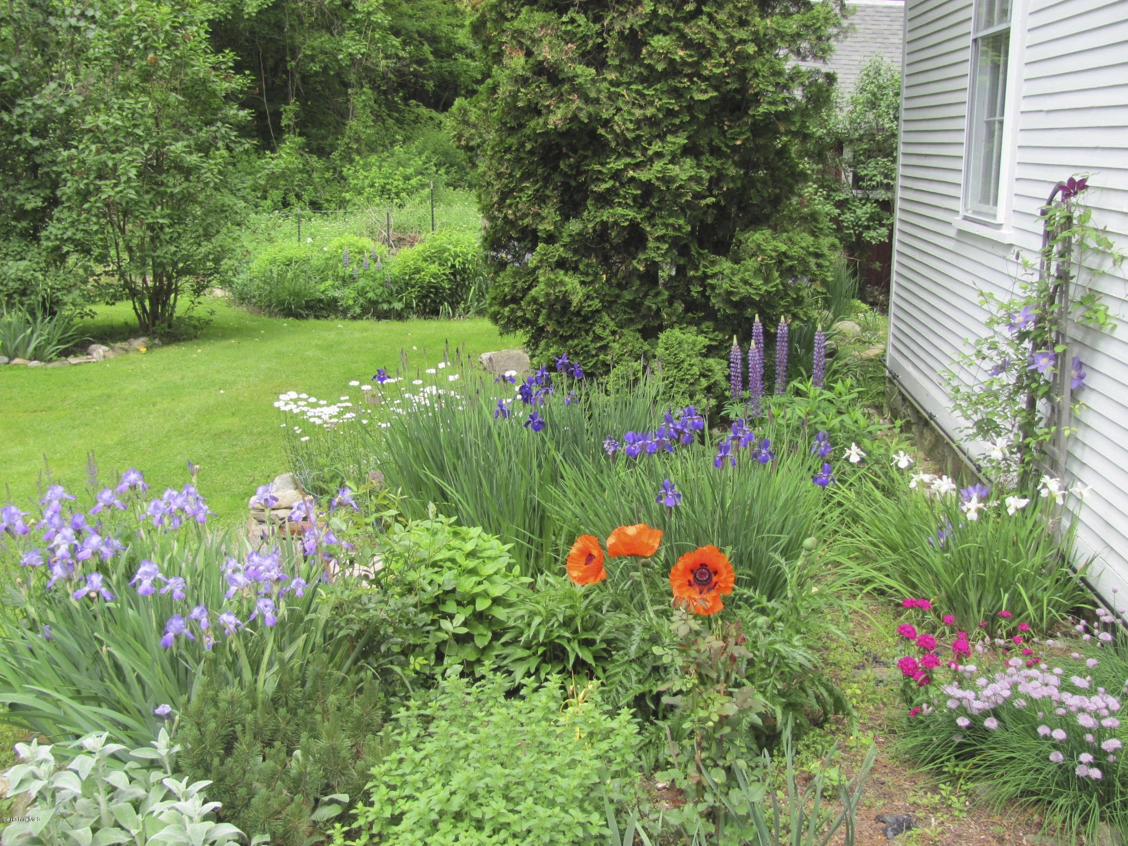 1213 Green River Road Williamstown, MA 01267 - Photo 45 of 46 IMG_2616