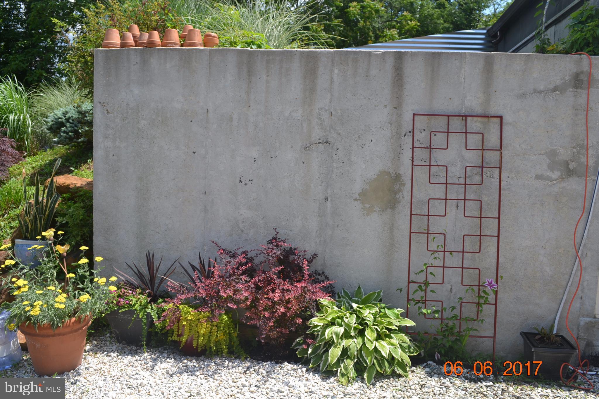 2612 Reckord Road Kingsville, MD 21087 - Photo 26 of 28 a view of a flower arrangement in backyard