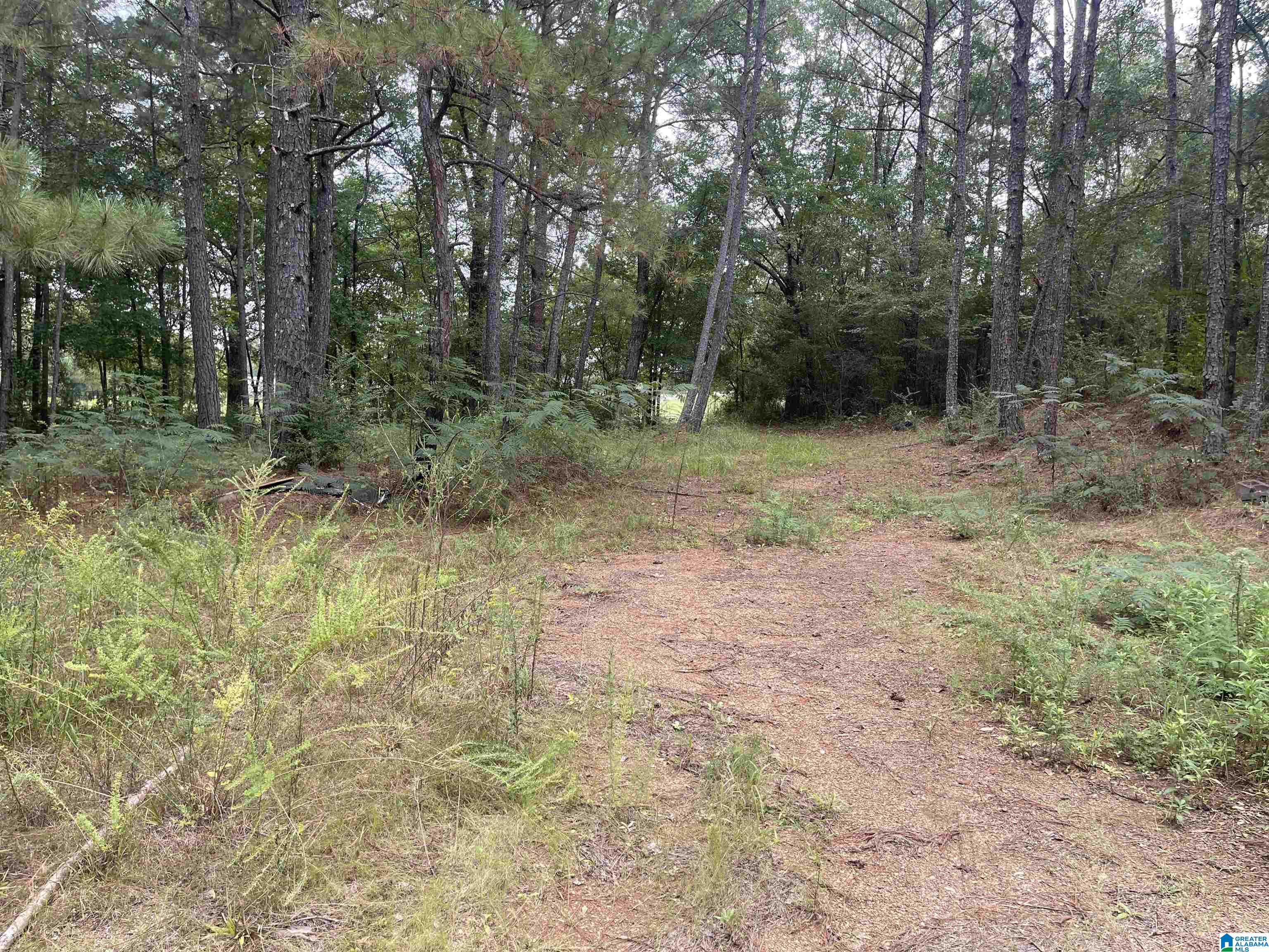 11781 Highway 144 Ragland, AL 35131 - Photo 47 of 49