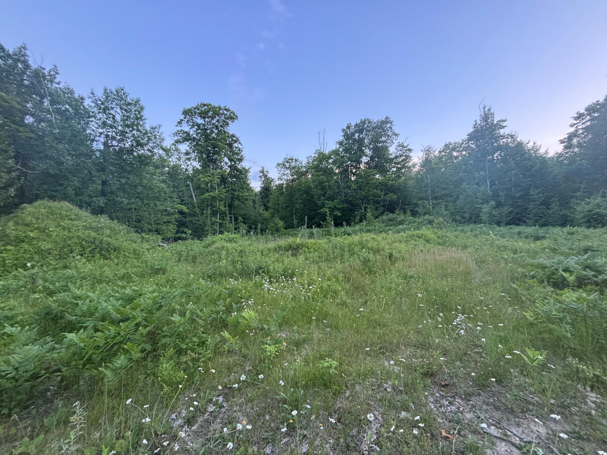 39987 Cass Line Road Laporte, MN 56461 - Photo 1 of 14