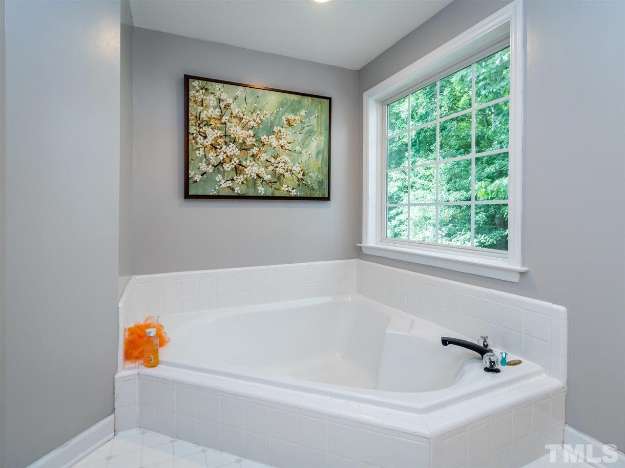 10005 Smith Basin Lane Raleigh, NC 27614 - Photo 19 of 25 Gallery Image 19