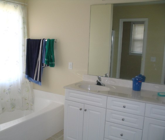 102 Redriff Way Simpsonville, SC 29680 - Photo 6 of 9 Gallery Image 6