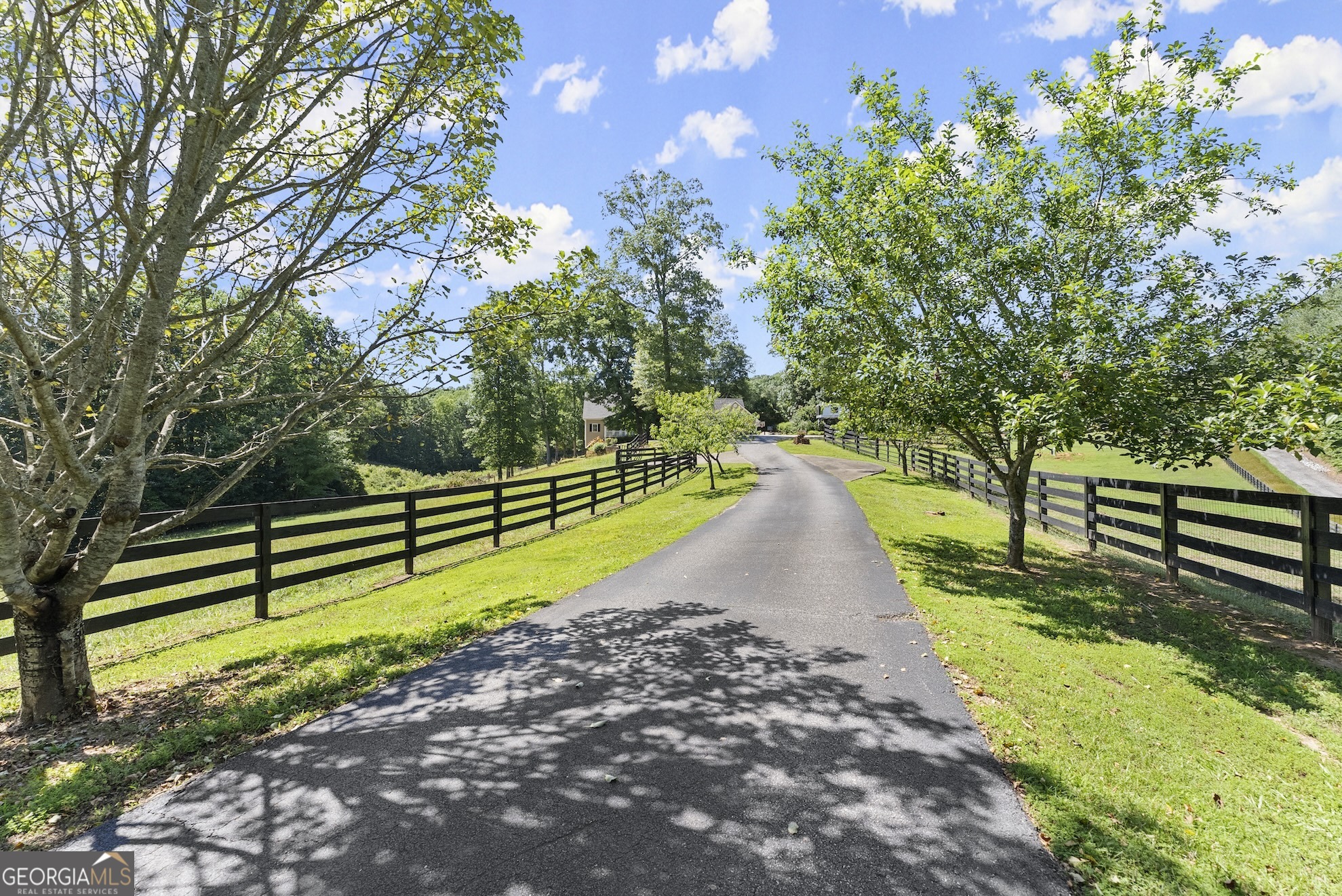 0 Private Road Dawsonville, GA 30534 - Photo 2 of 25
