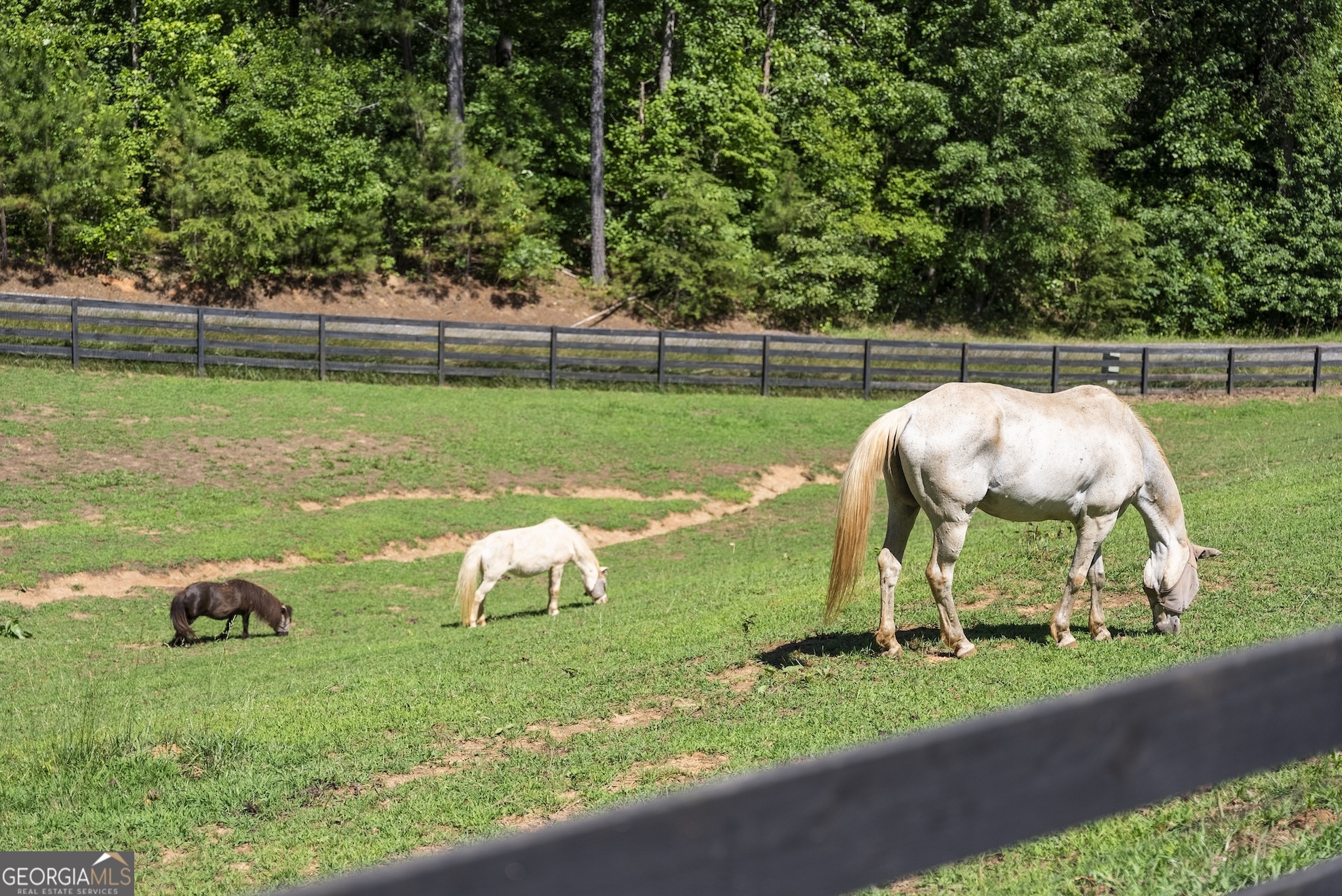 0 Private Road Dawsonville, GA 30534 - Photo 22 of 25