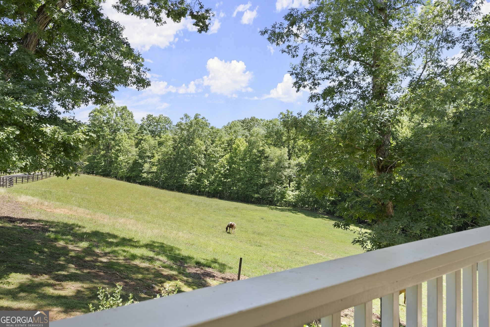 0 Private Road Dawsonville, GA 30534 - Photo 5 of 25