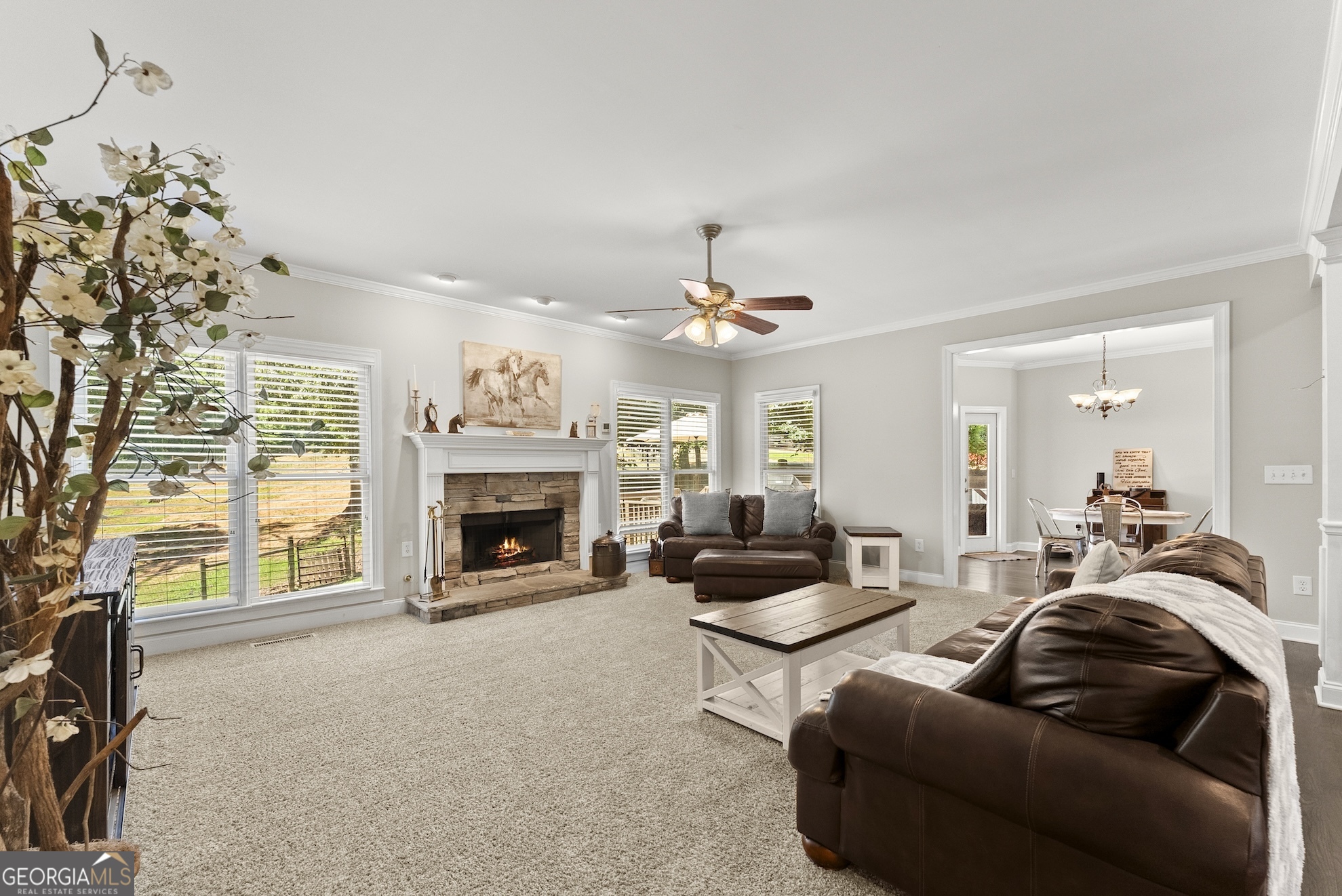 0 Private Road Dawsonville, GA 30534 - Photo 10 of 25