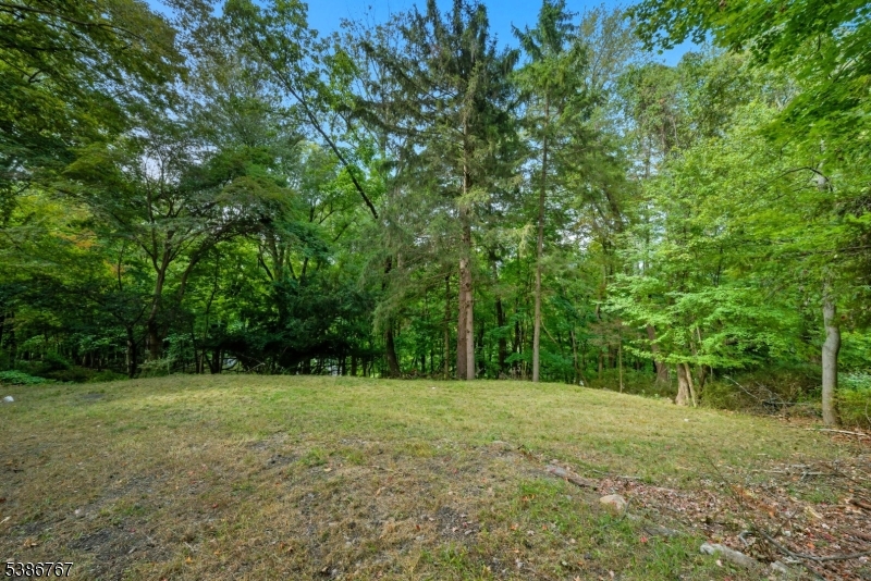 330 Springbrook Trail Sparta, NJ 07871 - Photo 26 of 42