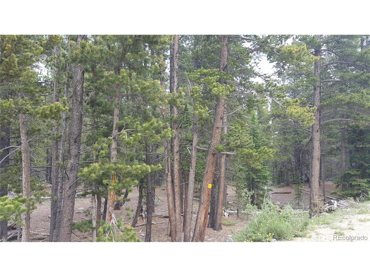 30 Crescent Road Fairplay, CO 80440 - Photo 11 of 36 Gallery Image 11