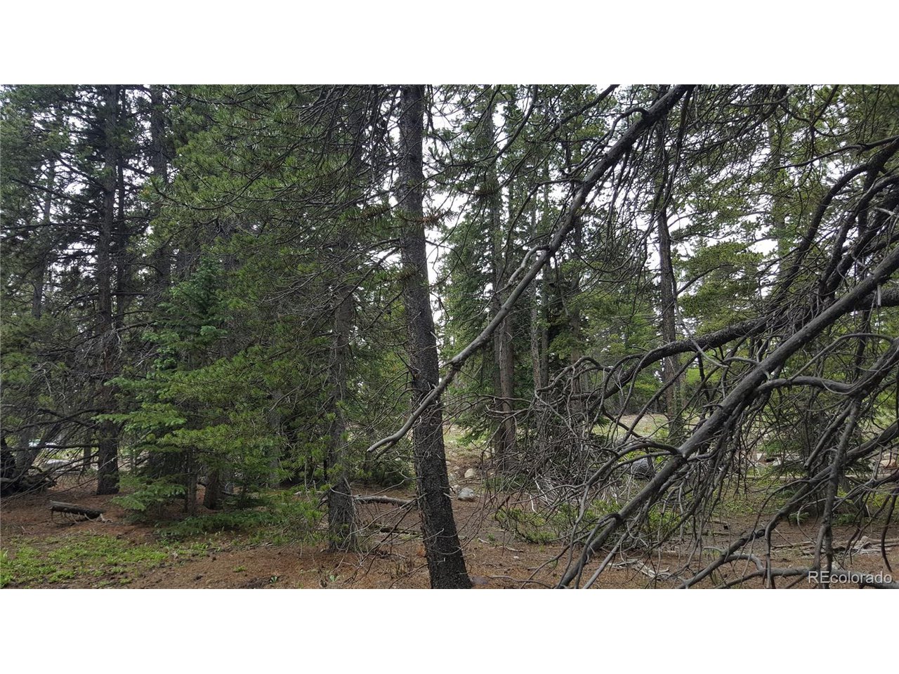 30 Crescent Road Fairplay, CO 80440 - Photo 17 of 36 Gallery Image 17