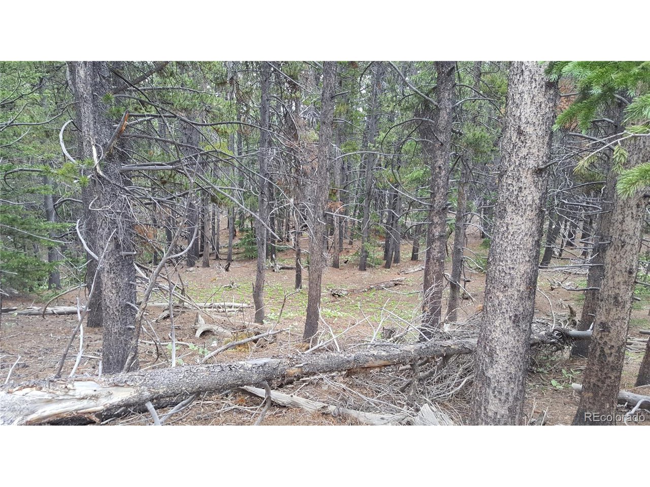 30 Crescent Road Fairplay, CO 80440 - Photo 20 of 36 Gallery Image 20