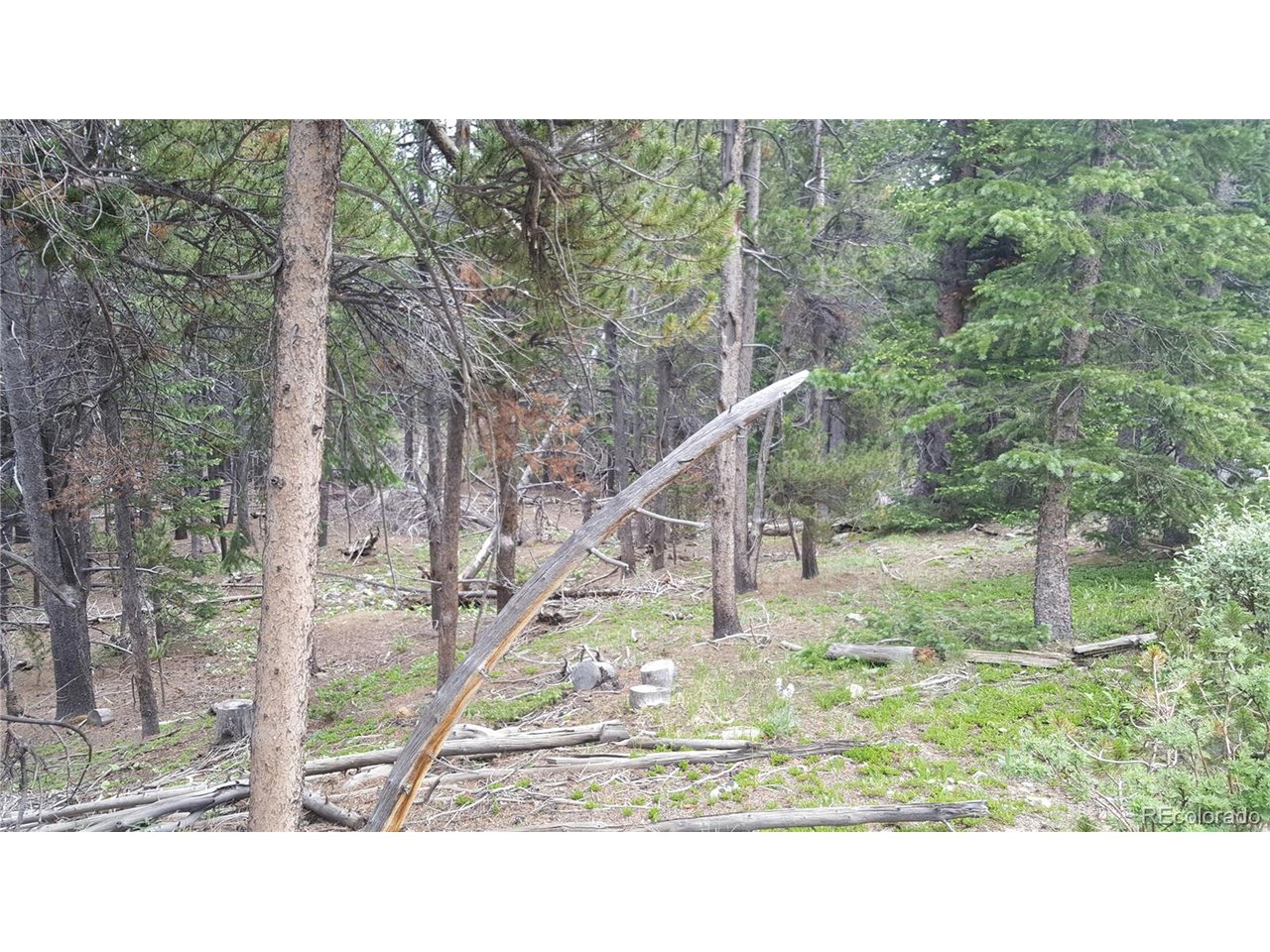 30 Crescent Road Fairplay, CO 80440 - Photo 21 of 36 Gallery Image 21